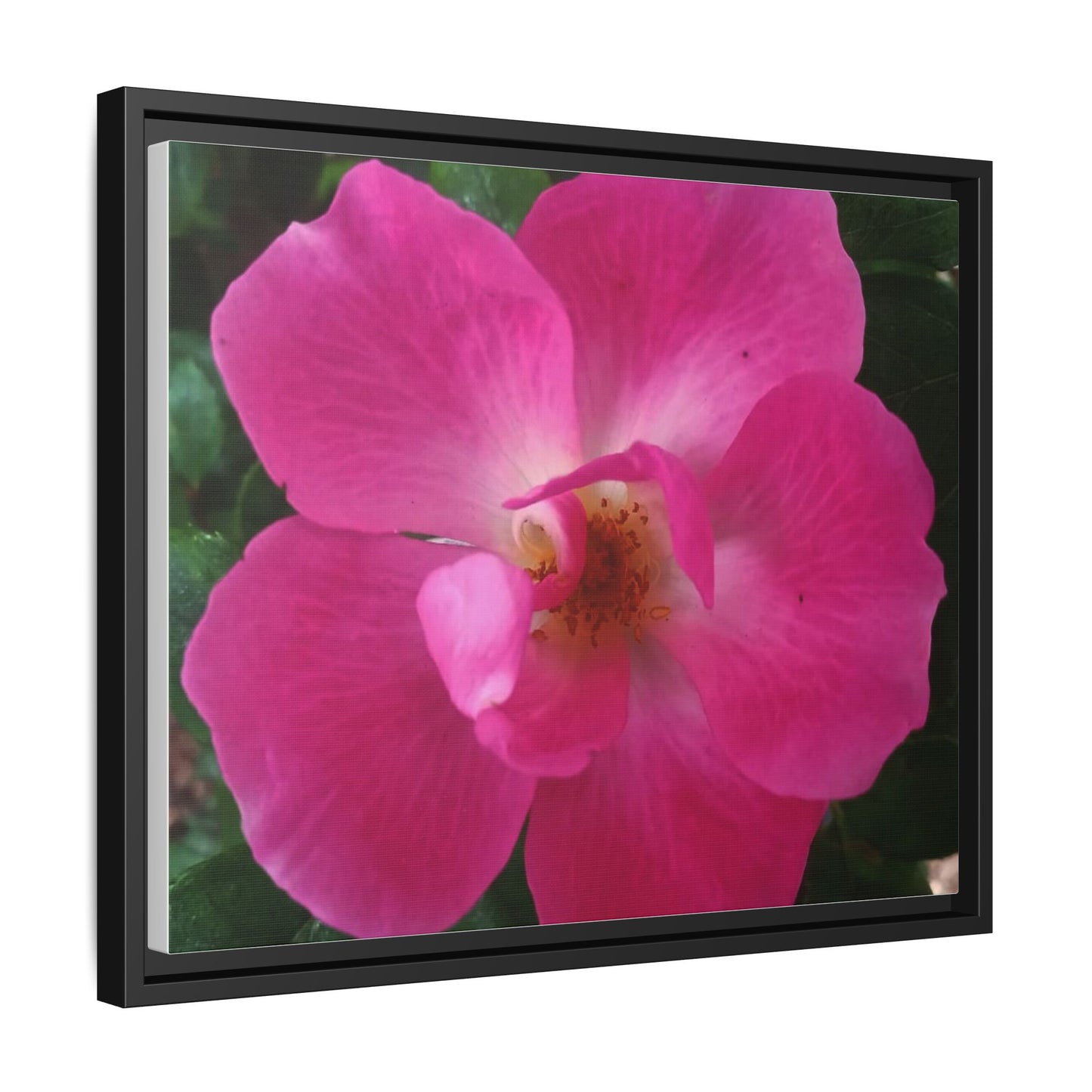 Framed Floral Canvas Art Print | Vibrant Pink Flower Decor, Wall Art for Home, Gift for Her, Mother's Day, Birthday