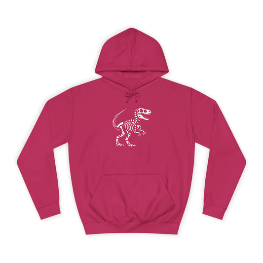 Dinosaur Skeleton Unisex College Hoodie, Casual Wear, Gift for Students, Graphic Hoodie, Trendy Fashion, Birthday Present