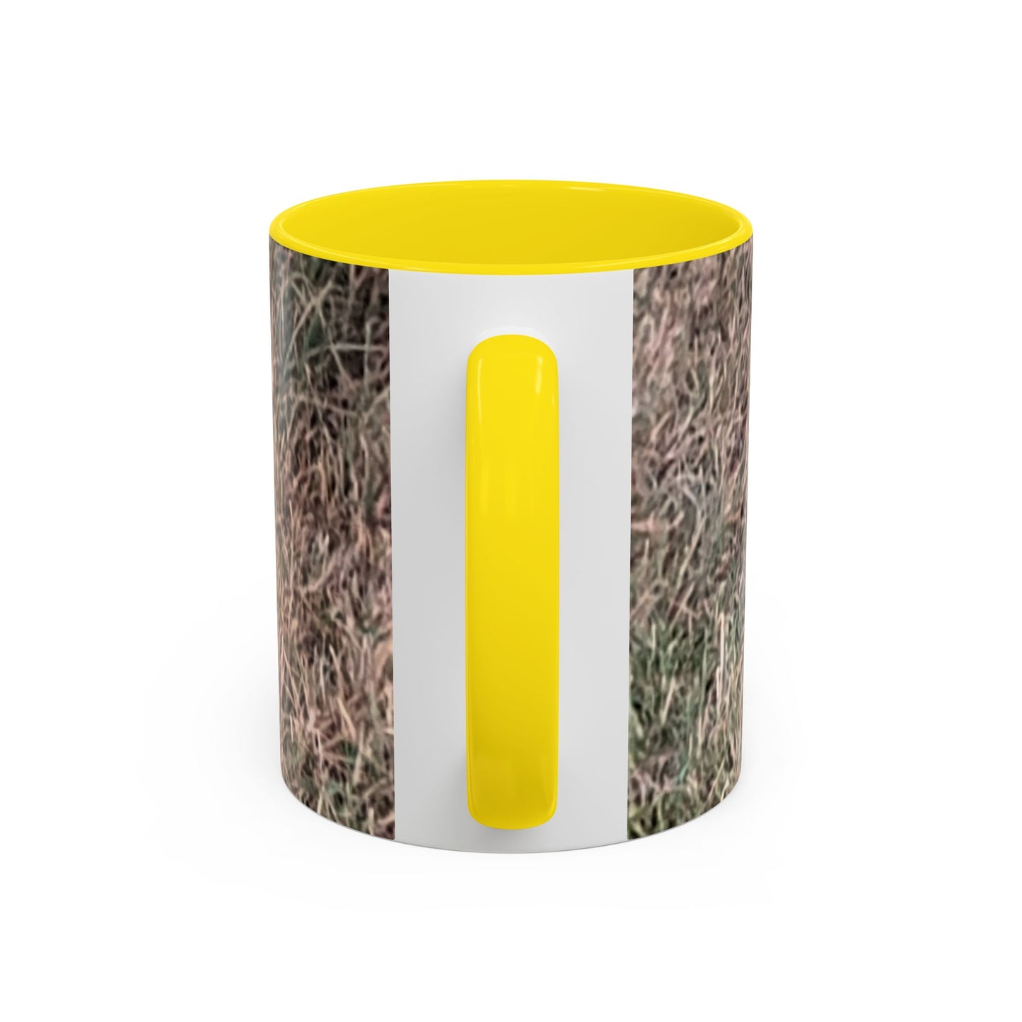 Rabbit Accent Coffee Mug (11oz) Such a Wonderful Birthday Gift!