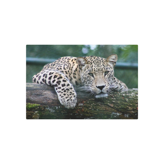 Metal Art Sign Cheetah