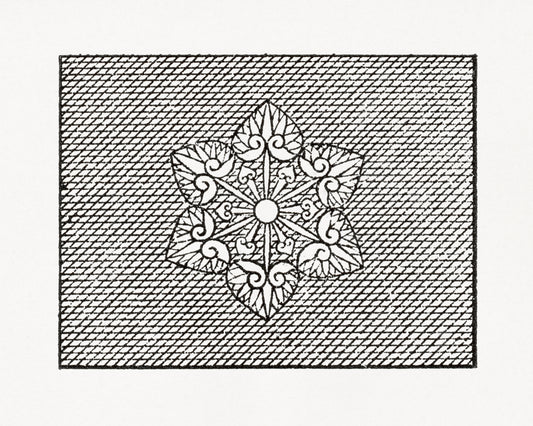 Shookie Mookie Gift Cards