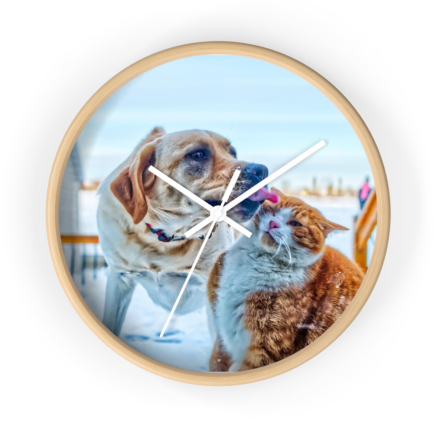Wall Clock Dog Cat Great Buddies