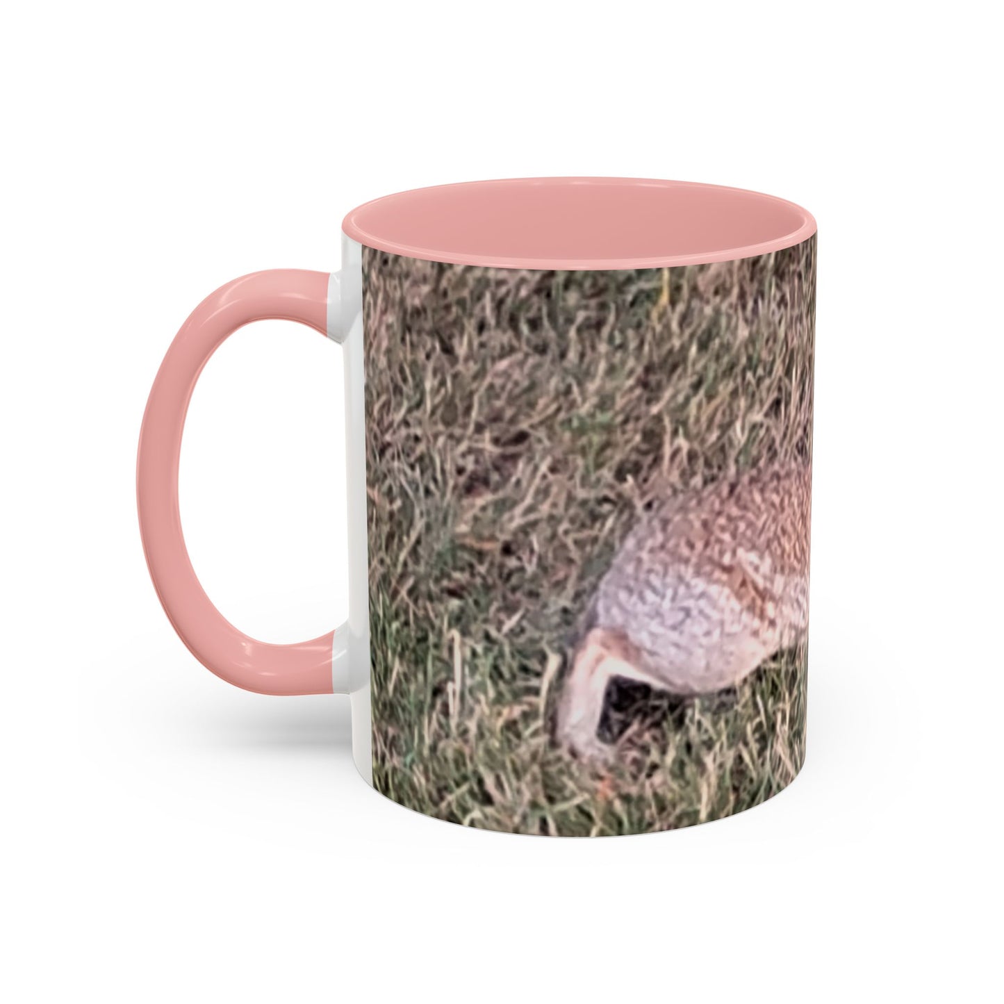 Rabbit Accent Coffee Mug (11oz) Such a Wonderful Birthday Gift!