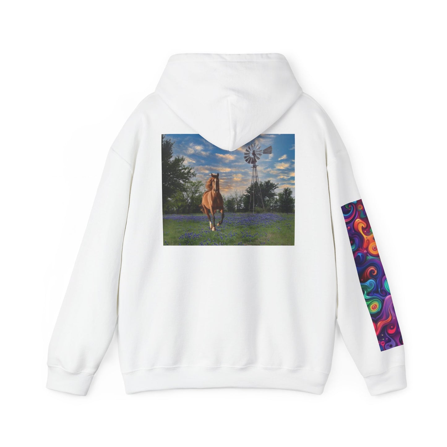 Sweat à capuche unisexe inspiré du Texas avec manches colorées 