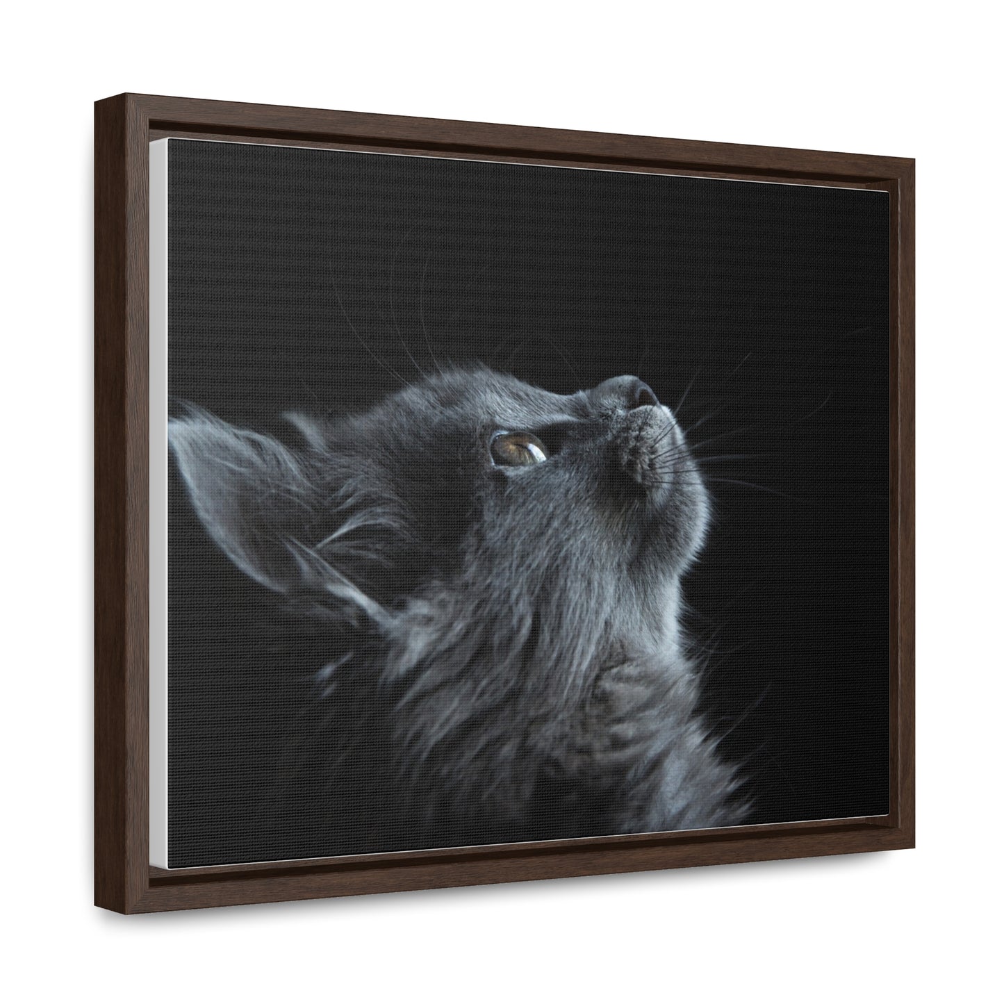 Gallery Canvas Wraps, Horizontal Frame