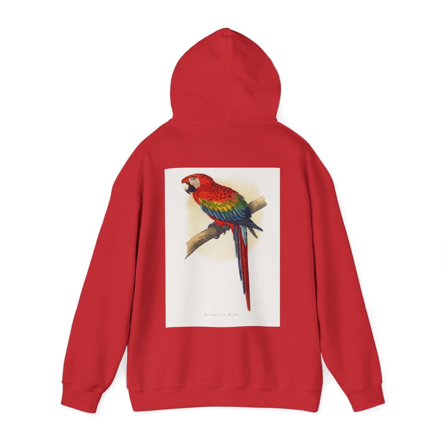 Colorful Parrot & Heart Hoodie - Unisex Heavy Blend Sweatshirt, Tropical Vibe Apparel, Perfect for Animal Lovers, Gift for Birthdays and Holidays
