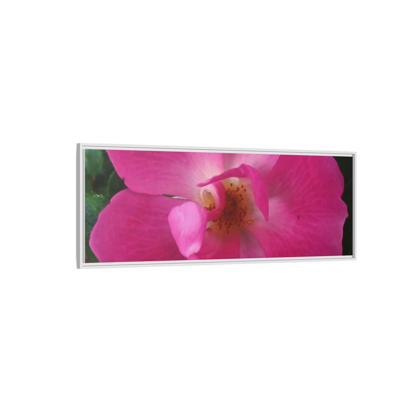 Framed Floral Canvas Art Print | Vibrant Pink Flower Decor, Wall Art for Home, Gift for Her, Mother's Day, Birthday