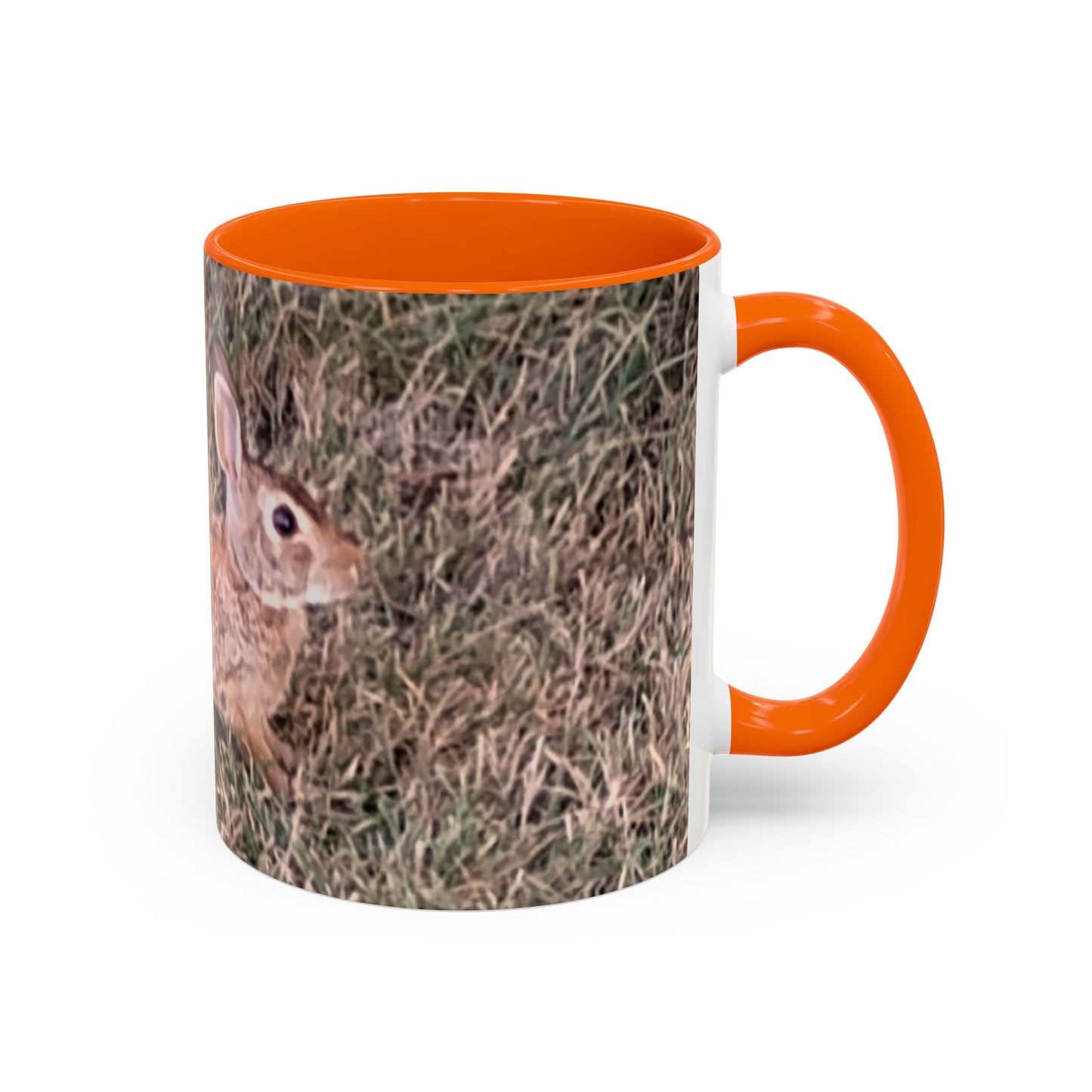 Rabbit Accent Coffee Mug (11oz) Such a Wonderful Birthday Gift!