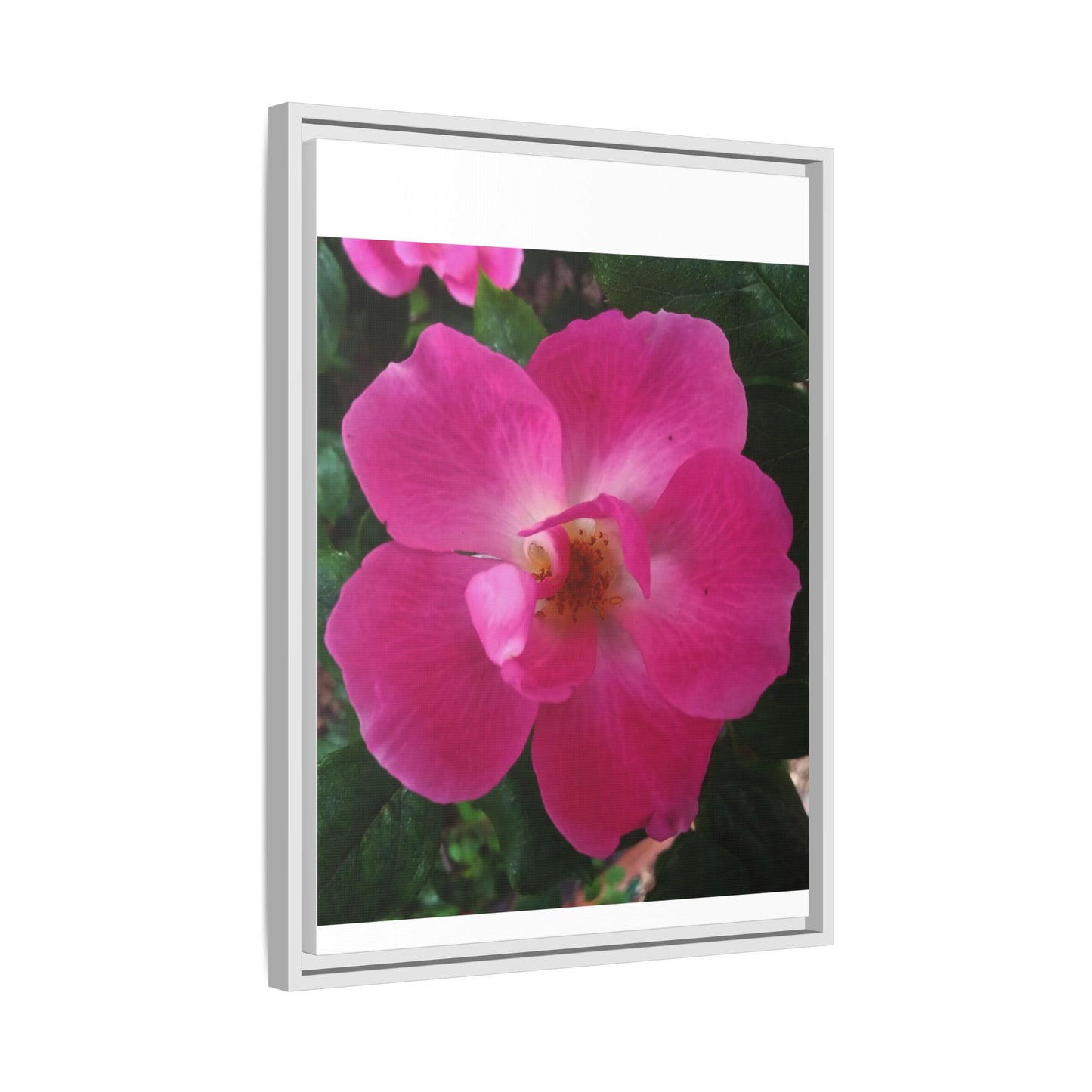 Framed Floral Canvas Art Print | Vibrant Pink Flower Decor, Wall Art for Home, Gift for Her, Mother's Day, Birthday