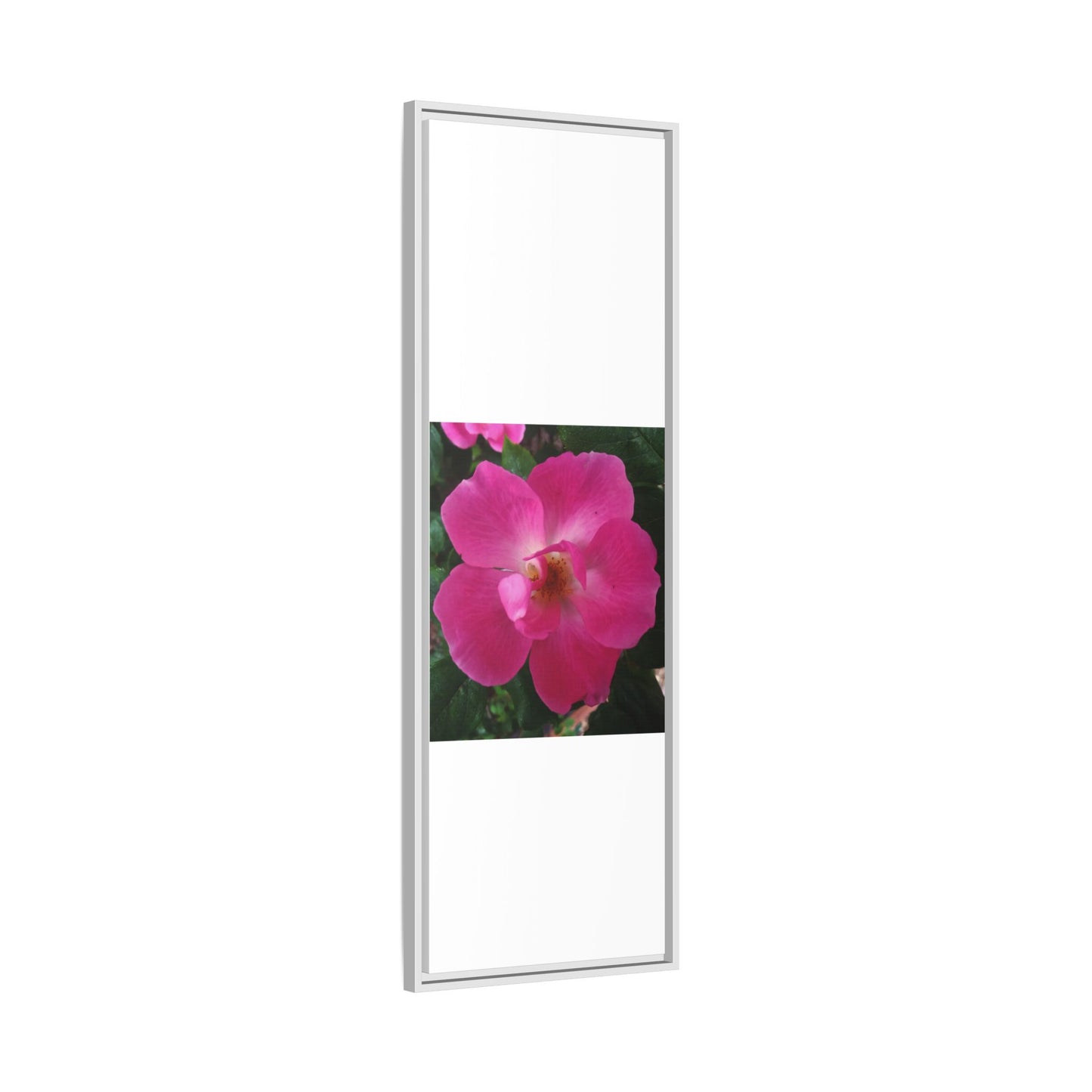 Framed Floral Canvas Art Print | Vibrant Pink Flower Decor, Wall Art for Home, Gift for Her, Mother's Day, Birthday