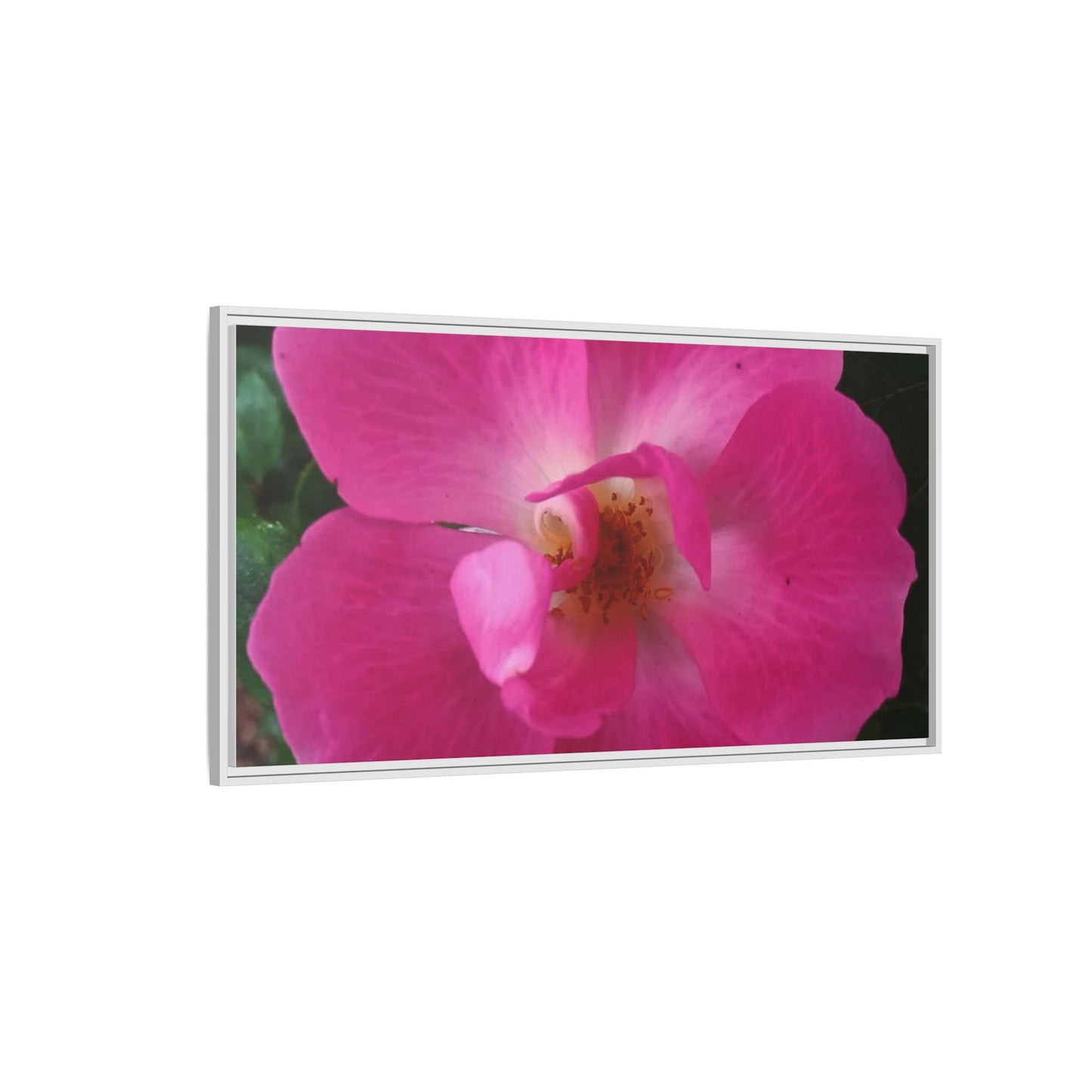 Framed Floral Canvas Art Print | Vibrant Pink Flower Decor, Wall Art for Home, Gift for Her, Mother's Day, Birthday