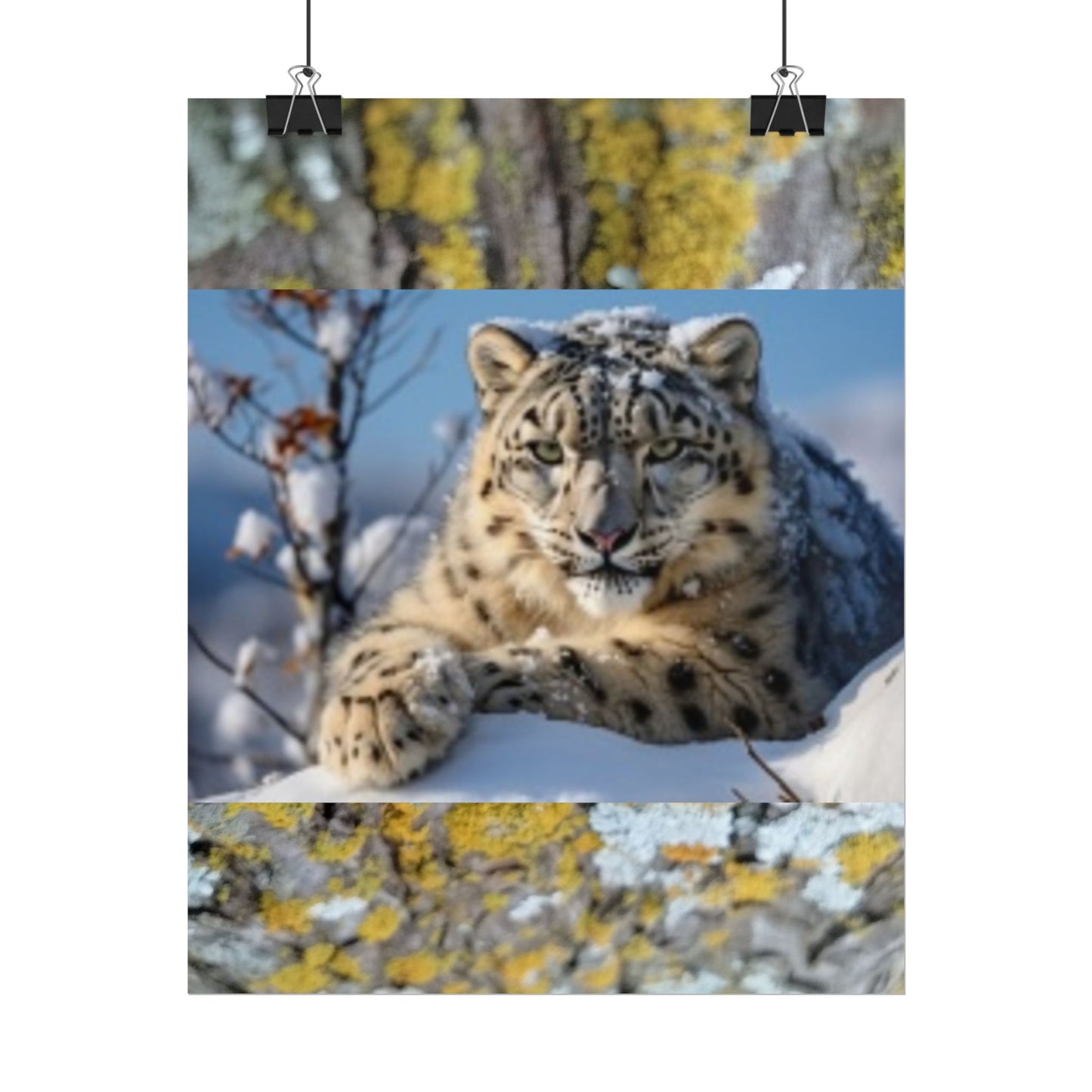 Wildlife Rolled Posters Looks Fabulous in every Room!