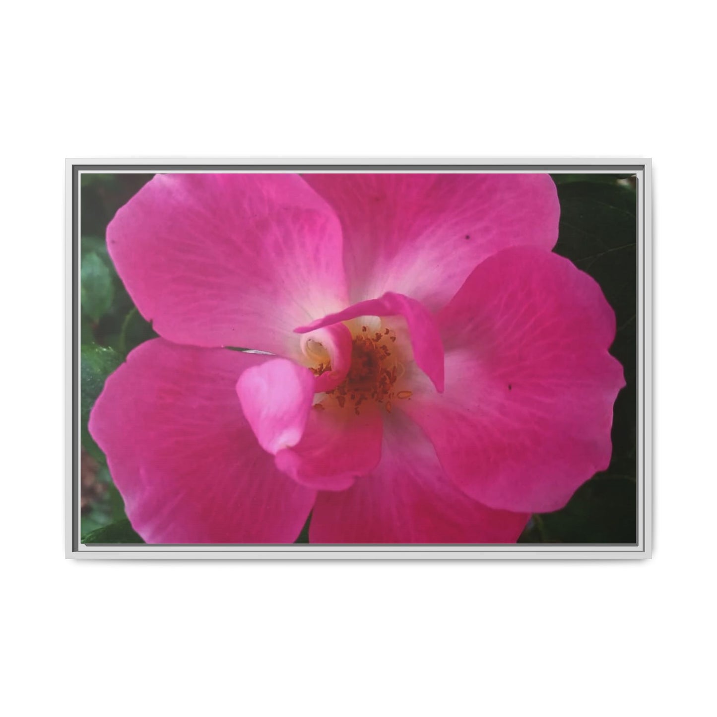 Framed Floral Canvas Art Print | Vibrant Pink Flower Decor, Wall Art for Home, Gift for Her, Mother's Day, Birthday