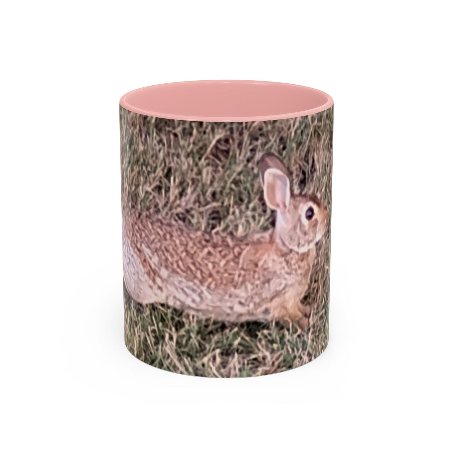 Rabbit Accent Coffee Mug (11oz) Such a Wonderful Birthday Gift!