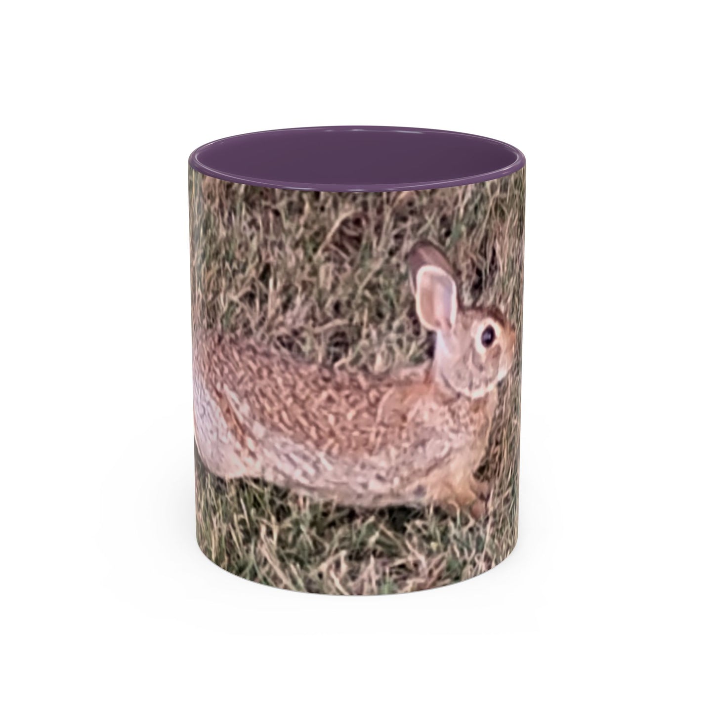 Rabbit Accent Coffee Mug (11oz) Such a Wonderful Birthday Gift!