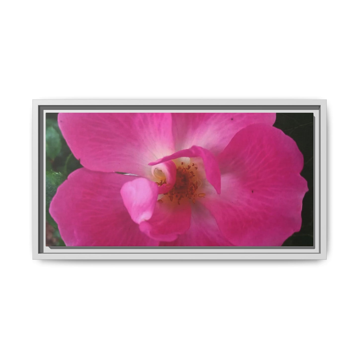 Framed Floral Canvas Art Print | Vibrant Pink Flower Decor, Wall Art for Home, Gift for Her, Mother's Day, Birthday