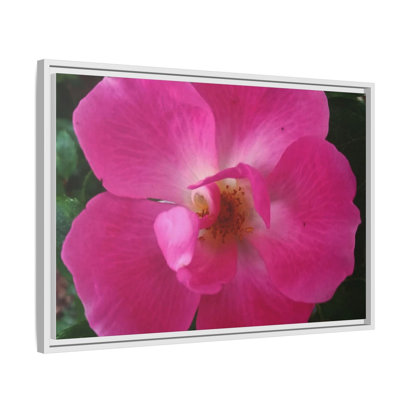 Framed Floral Canvas Art Print | Vibrant Pink Flower Decor, Wall Art for Home, Gift for Her, Mother's Day, Birthday