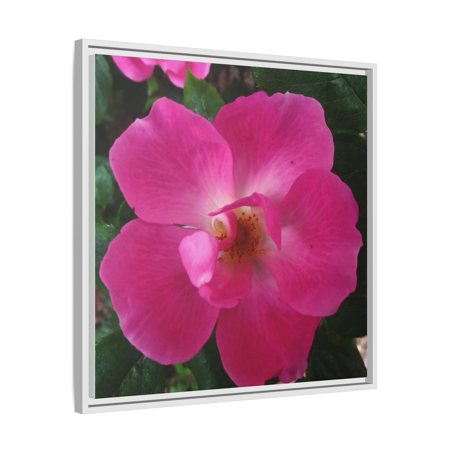 Framed Floral Canvas Art Print | Vibrant Pink Flower Decor, Wall Art for Home, Gift for Her, Mother's Day, Birthday