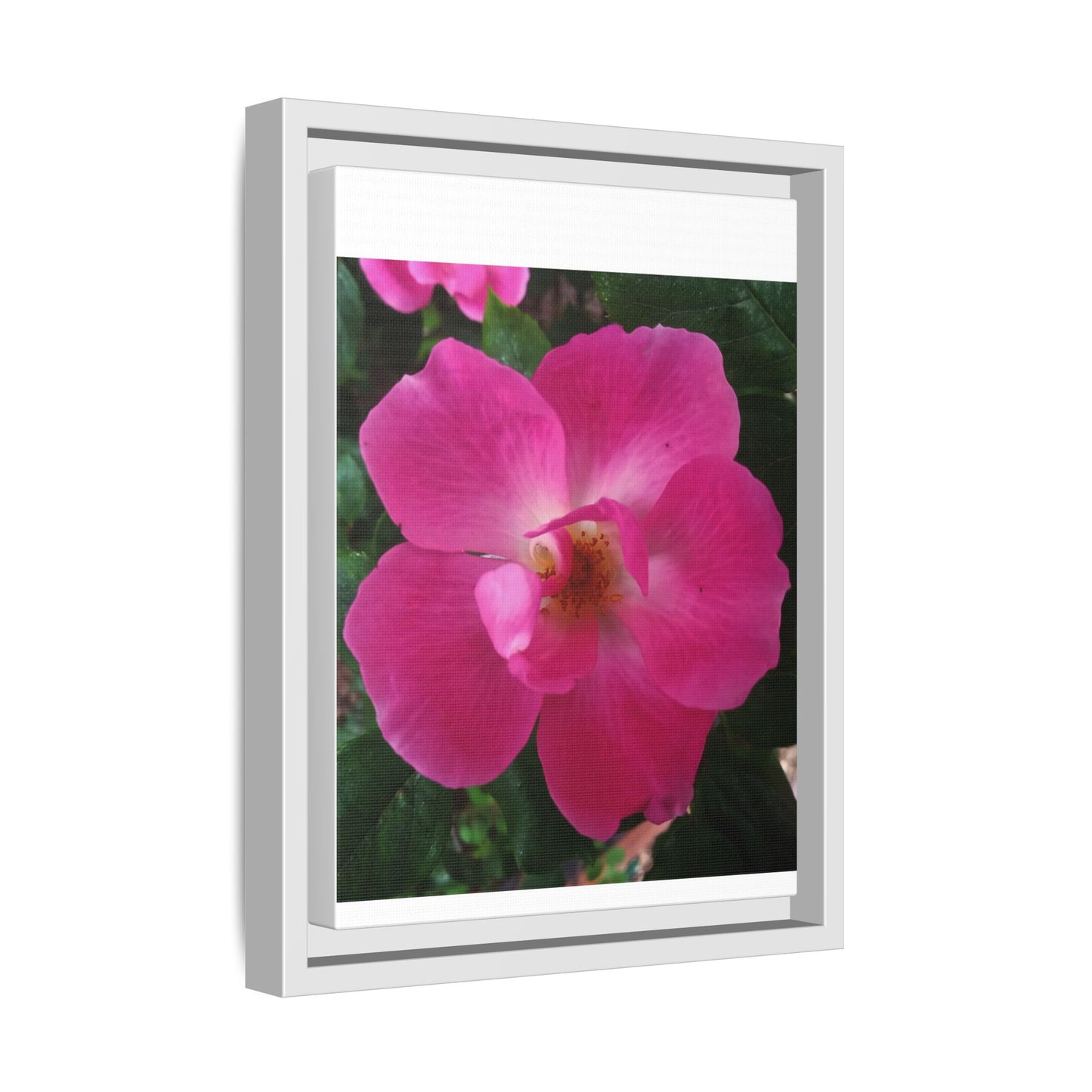Framed Floral Canvas Art Print | Vibrant Pink Flower Decor, Wall Art for Home, Gift for Her, Mother's Day, Birthday