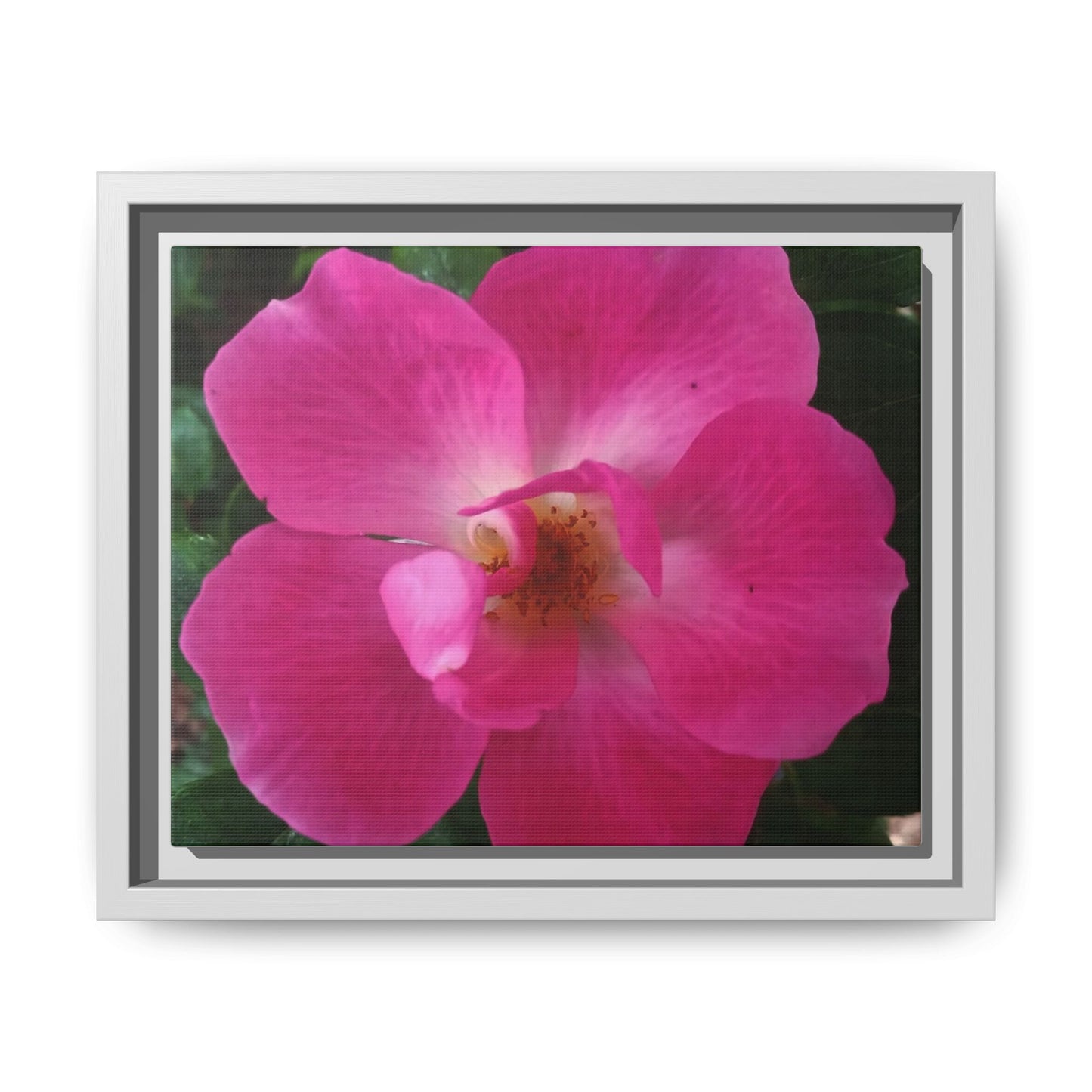 Framed Floral Canvas Art Print | Vibrant Pink Flower Decor, Wall Art for Home, Gift for Her, Mother's Day, Birthday