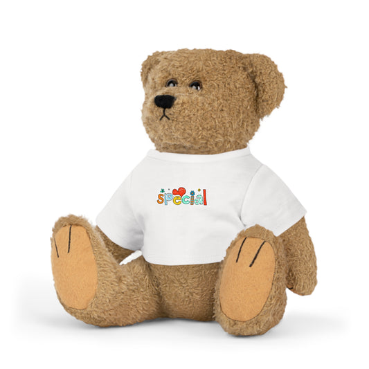 Plush Teddy Bear with T-Shirt Special