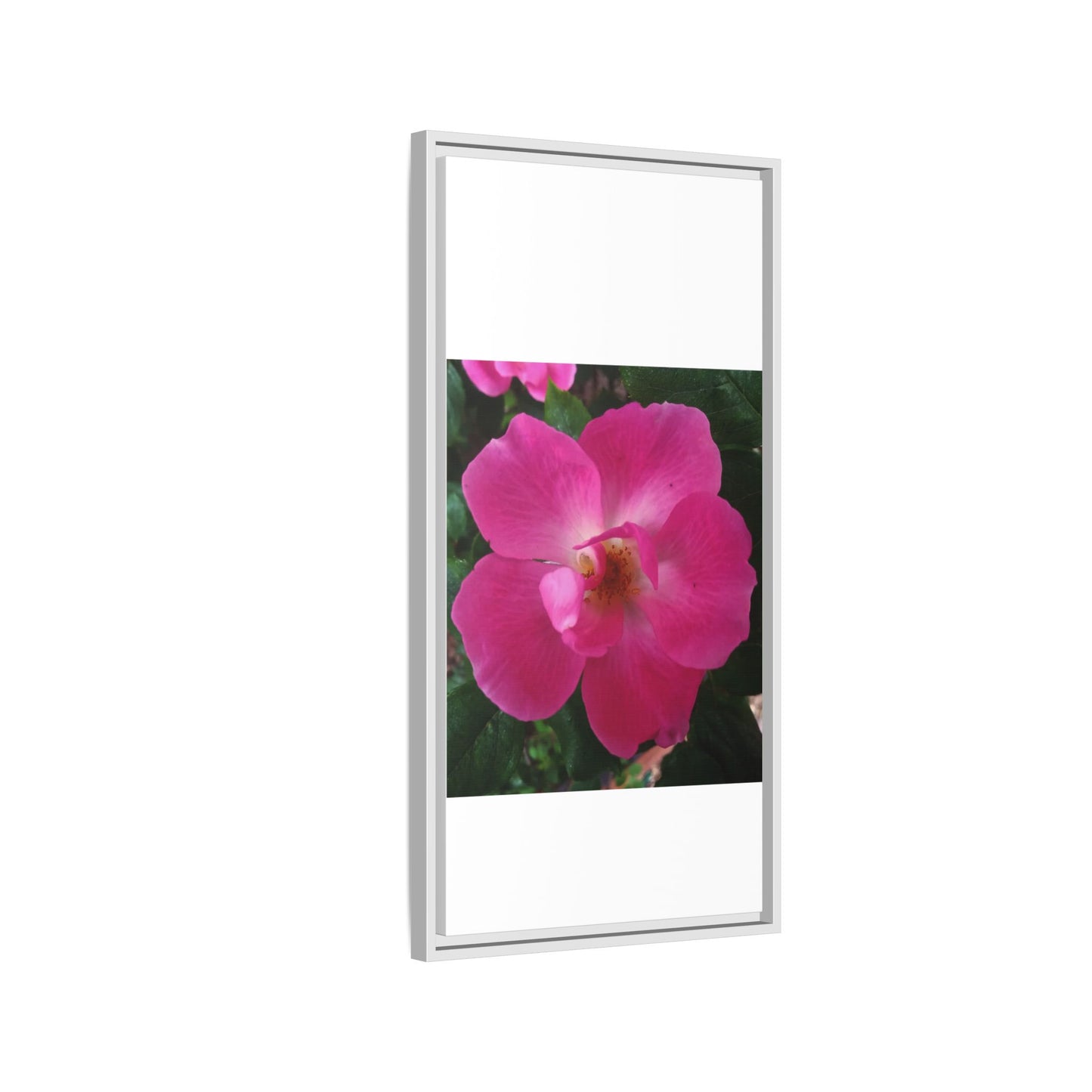 Framed Floral Canvas Art Print | Vibrant Pink Flower Decor, Wall Art for Home, Gift for Her, Mother's Day, Birthday