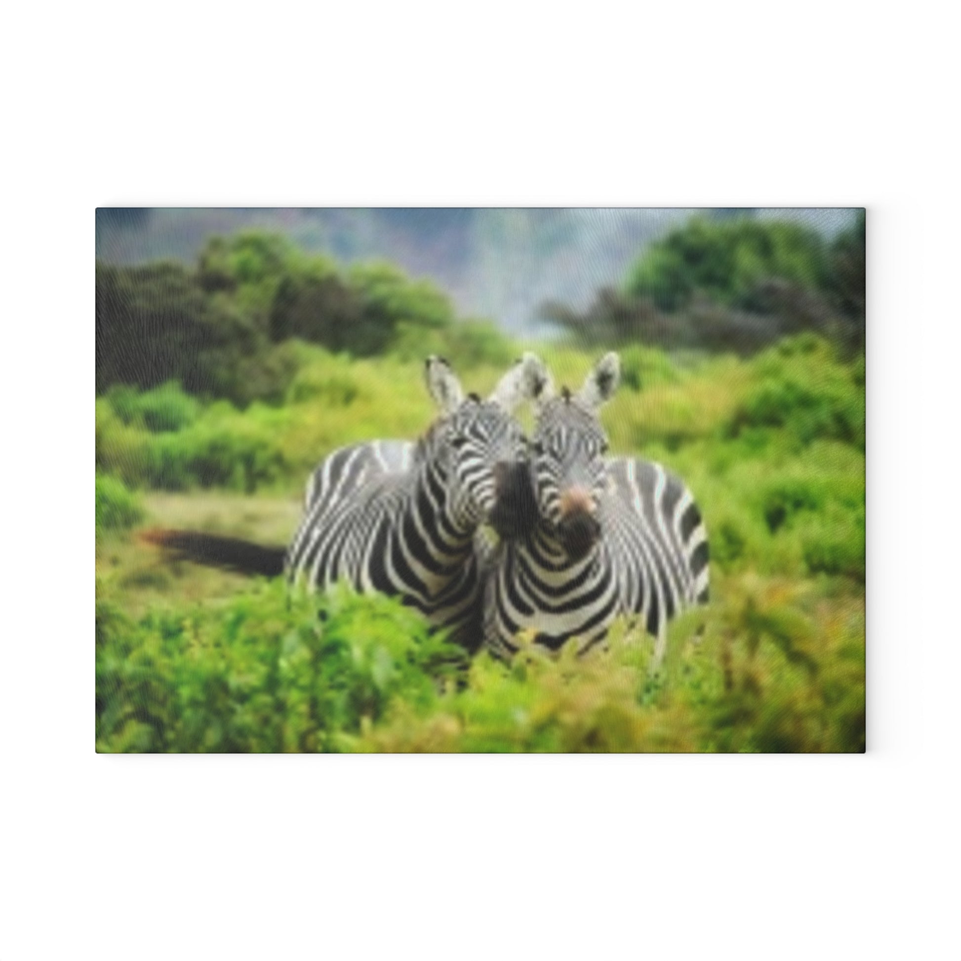 Two zebras standing together in the wilderness. 