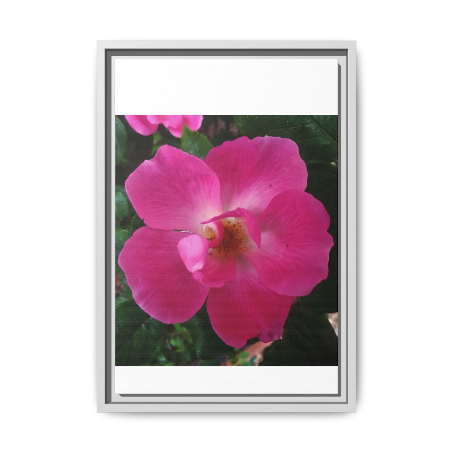 Framed Floral Canvas Art Print | Vibrant Pink Flower Decor, Wall Art for Home, Gift for Her, Mother's Day, Birthday