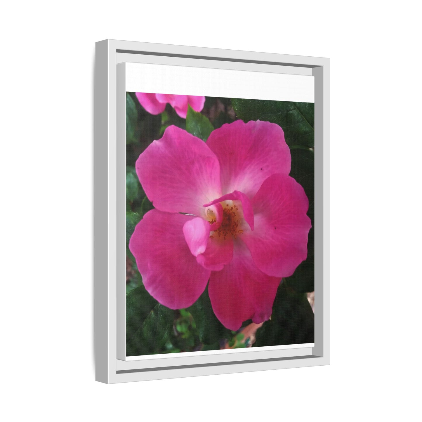 Framed Floral Canvas Art Print | Vibrant Pink Flower Decor, Wall Art for Home, Gift for Her, Mother's Day, Birthday
