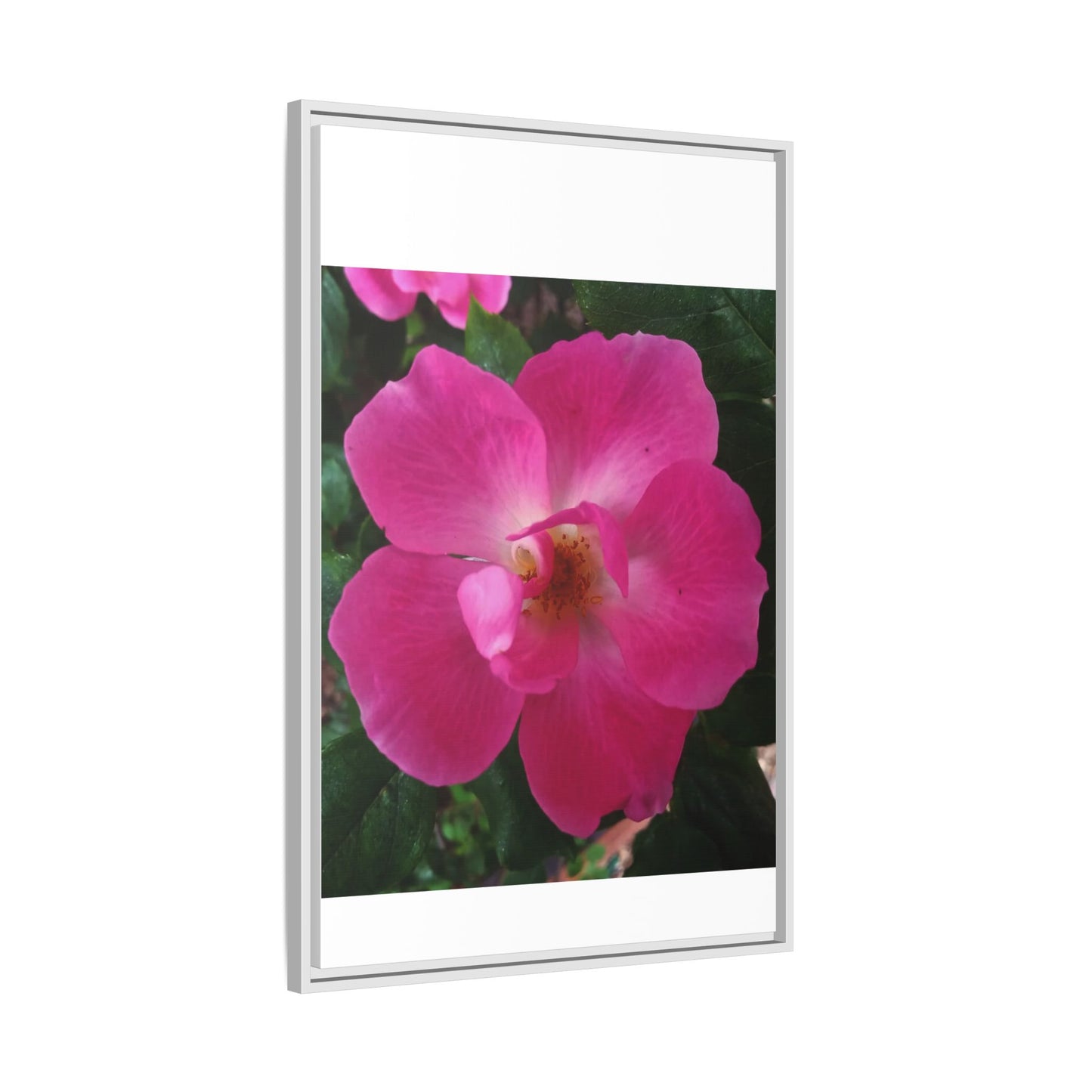 Framed Floral Canvas Art Print | Vibrant Pink Flower Decor, Wall Art for Home, Gift for Her, Mother's Day, Birthday