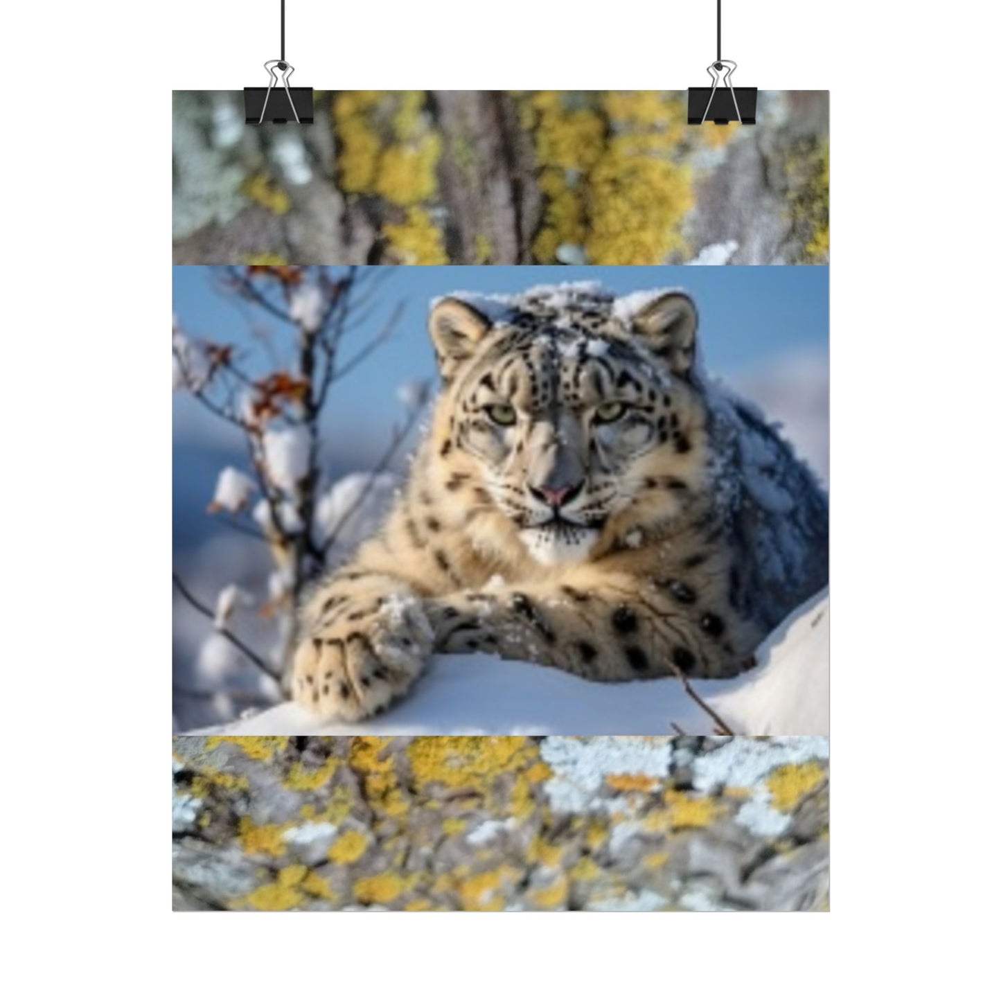 Wildlife Rolled Posters Looks Fabulous in every Room!