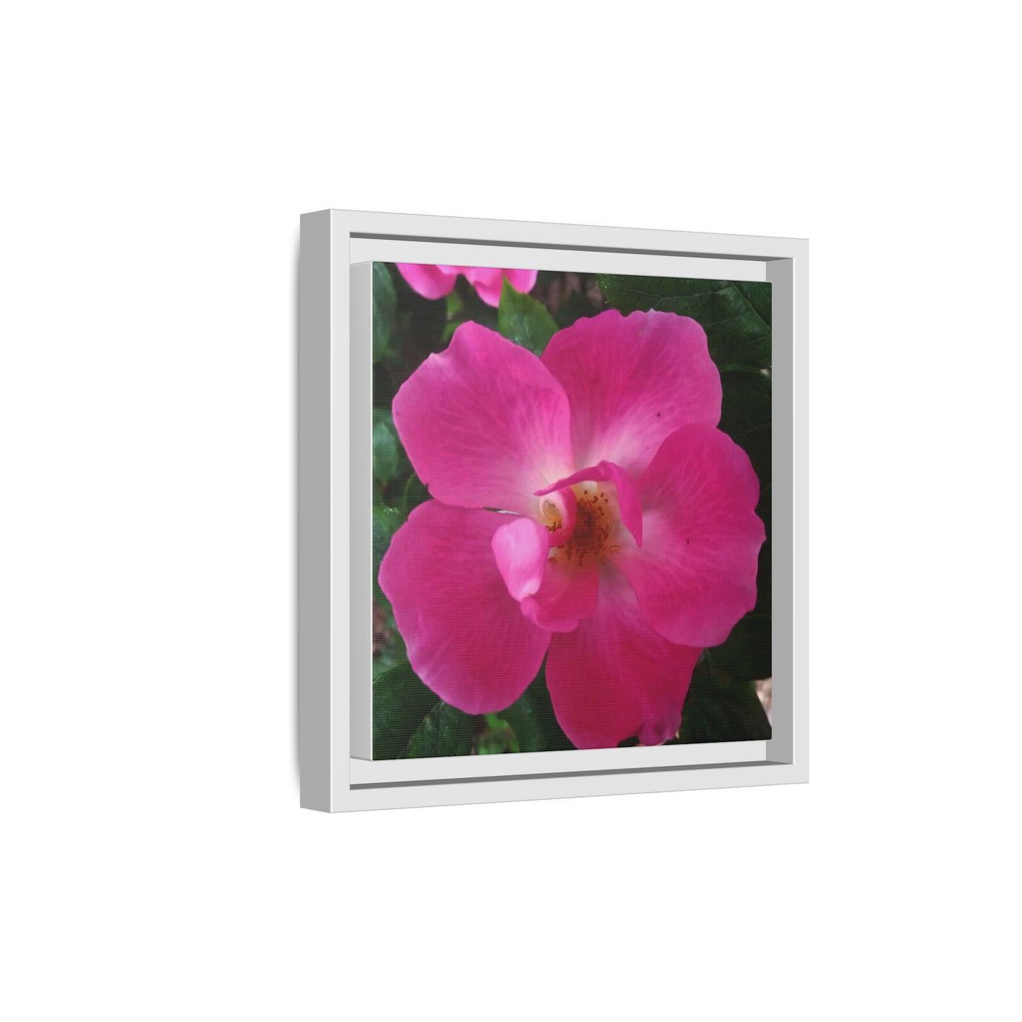 Framed Floral Canvas Art Print | Vibrant Pink Flower Decor, Wall Art for Home, Gift for Her, Mother's Day, Birthday