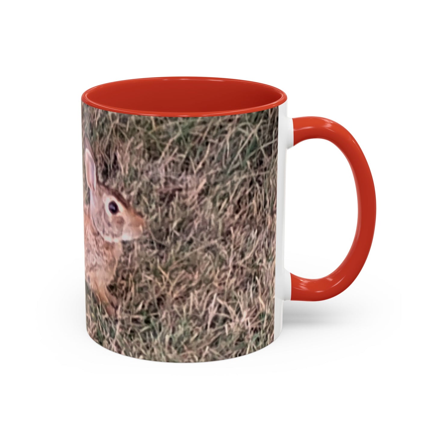 Rabbit Accent Coffee Mug (11oz) Such a Wonderful Birthday Gift!