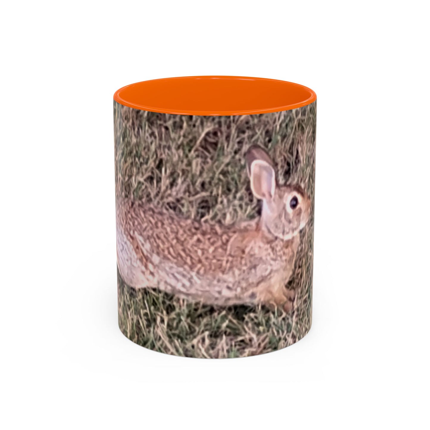 Rabbit Accent Coffee Mug (11oz) Such a Wonderful Birthday Gift!