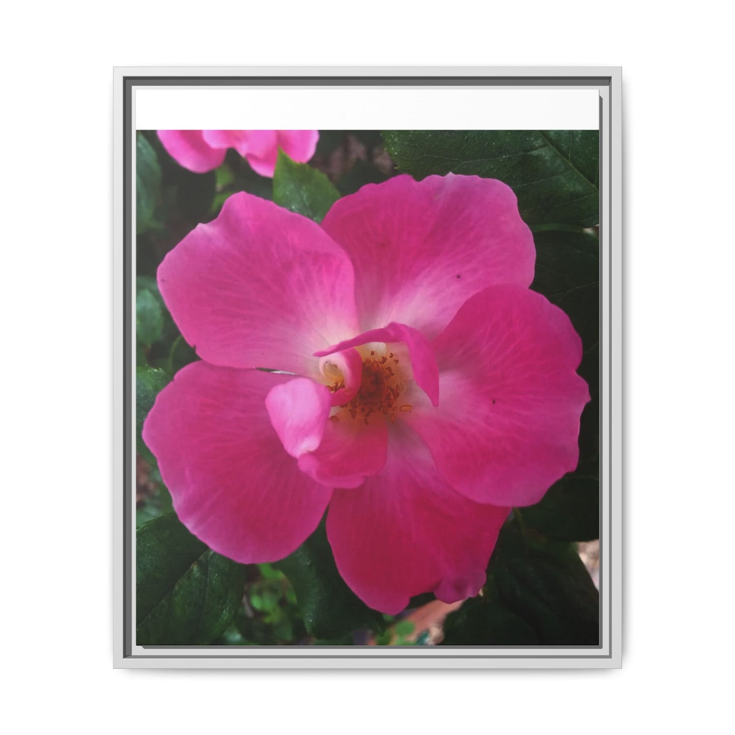 Framed Floral Canvas Art Print | Vibrant Pink Flower Decor, Wall Art for Home, Gift for Her, Mother's Day, Birthday