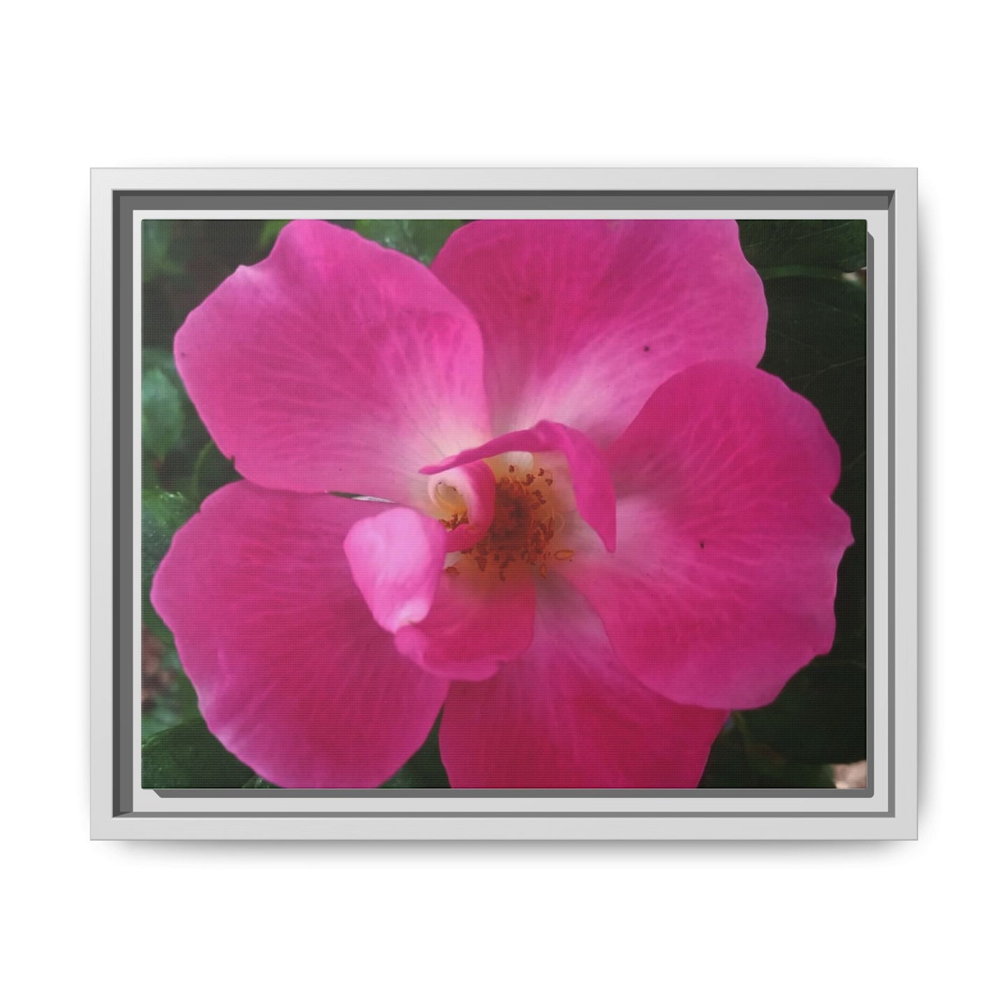 Framed Floral Canvas Art Print | Vibrant Pink Flower Decor, Wall Art for Home, Gift for Her, Mother's Day, Birthday