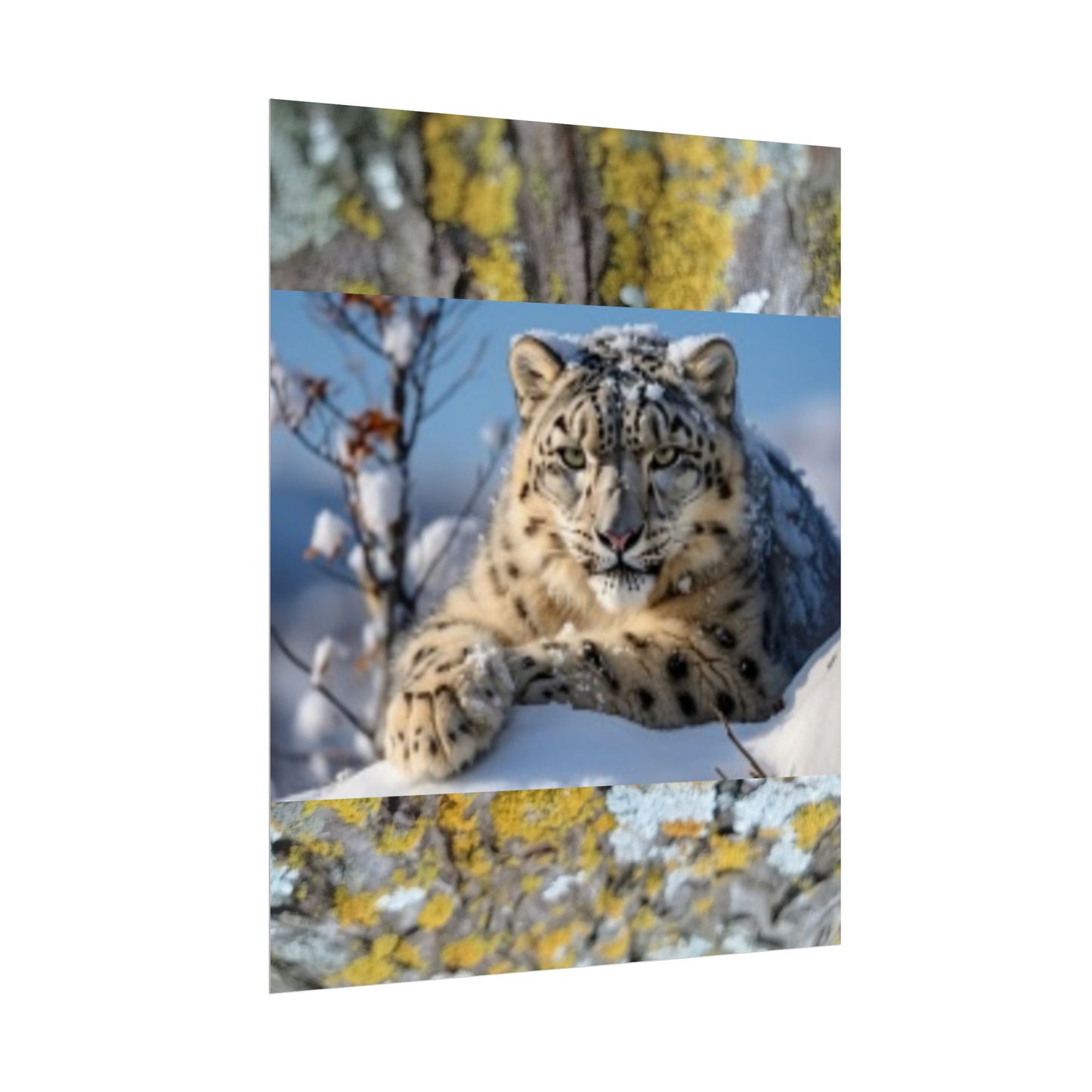 Wildlife Rolled Posters Looks Fabulous in every Room!