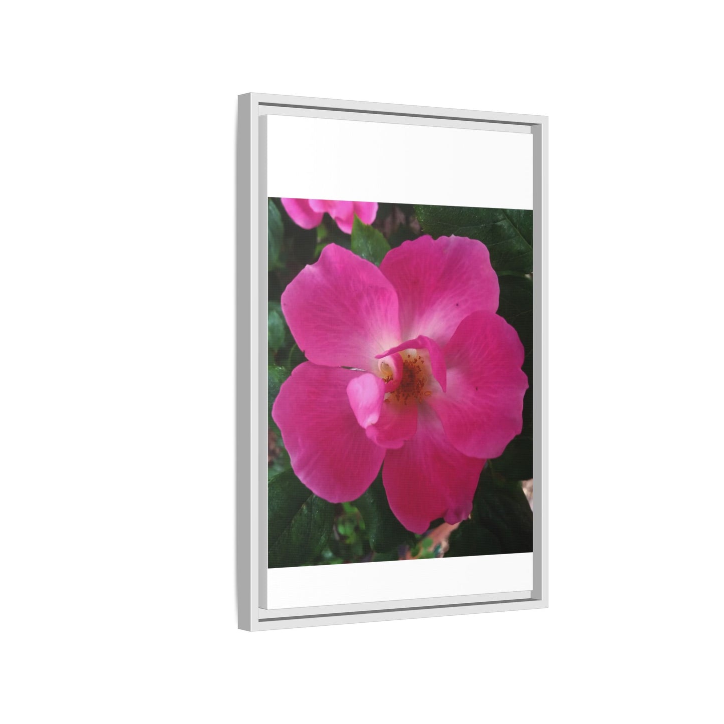 Framed Floral Canvas Art Print | Vibrant Pink Flower Decor, Wall Art for Home, Gift for Her, Mother's Day, Birthday