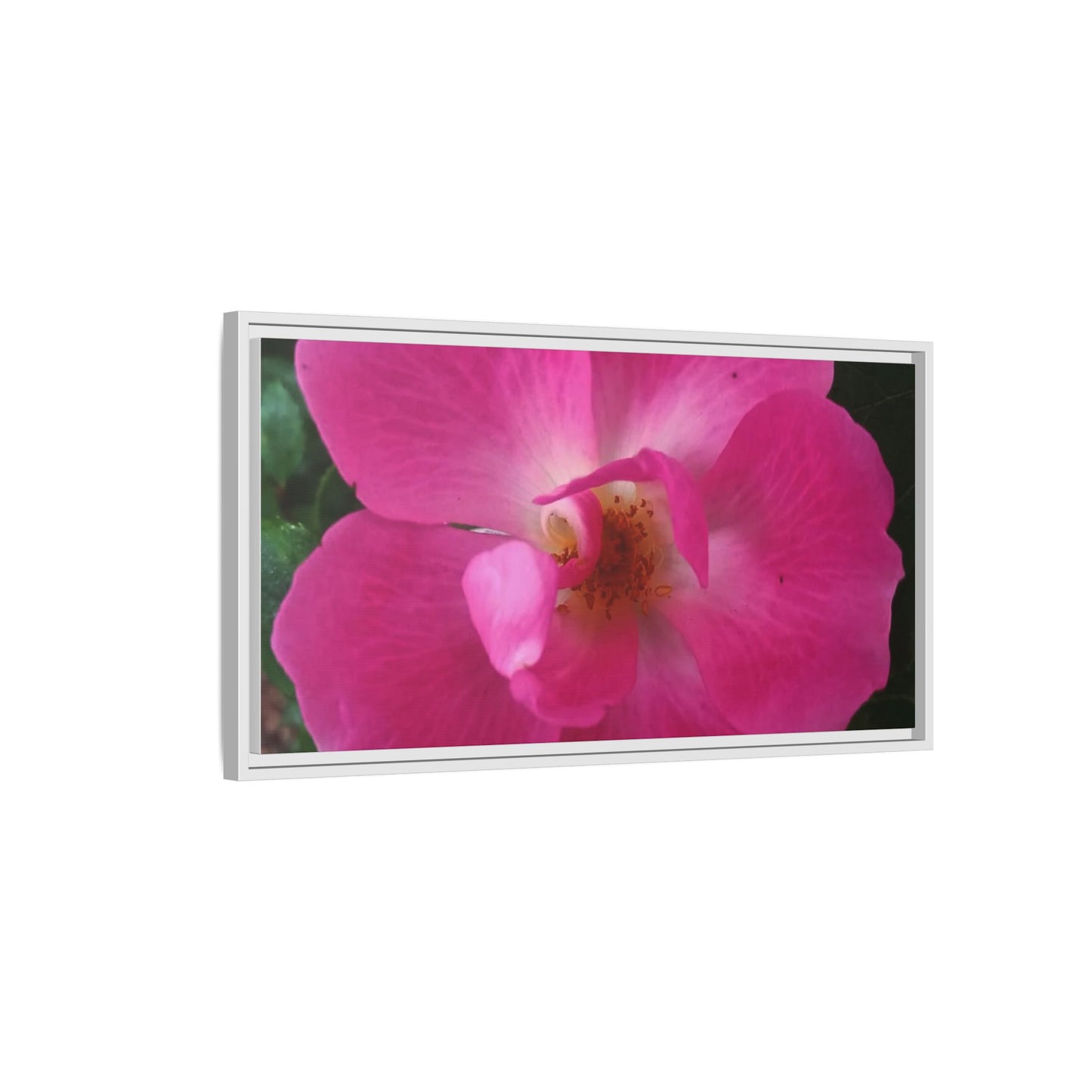 Framed Floral Canvas Art Print | Vibrant Pink Flower Decor, Wall Art for Home, Gift for Her, Mother's Day, Birthday