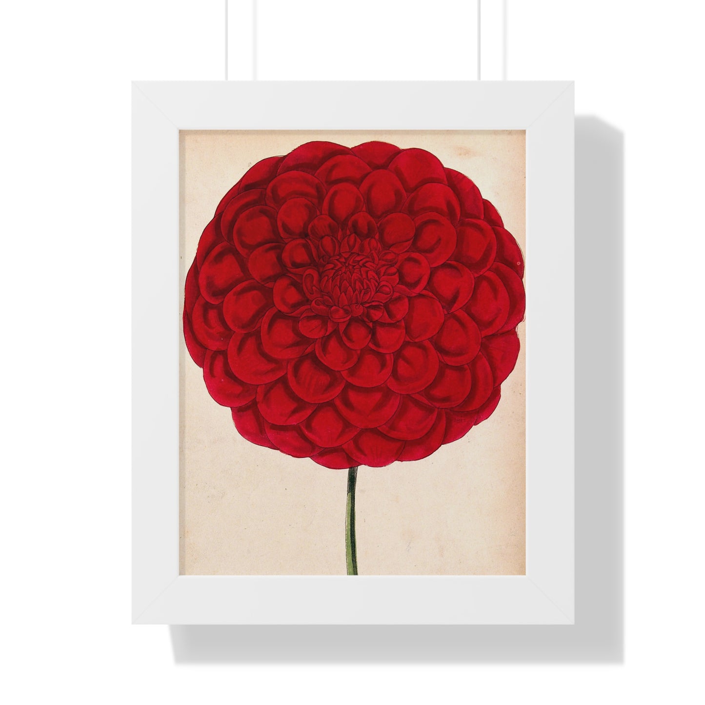 Framed Vertical Poster 11"x14" Red Flower