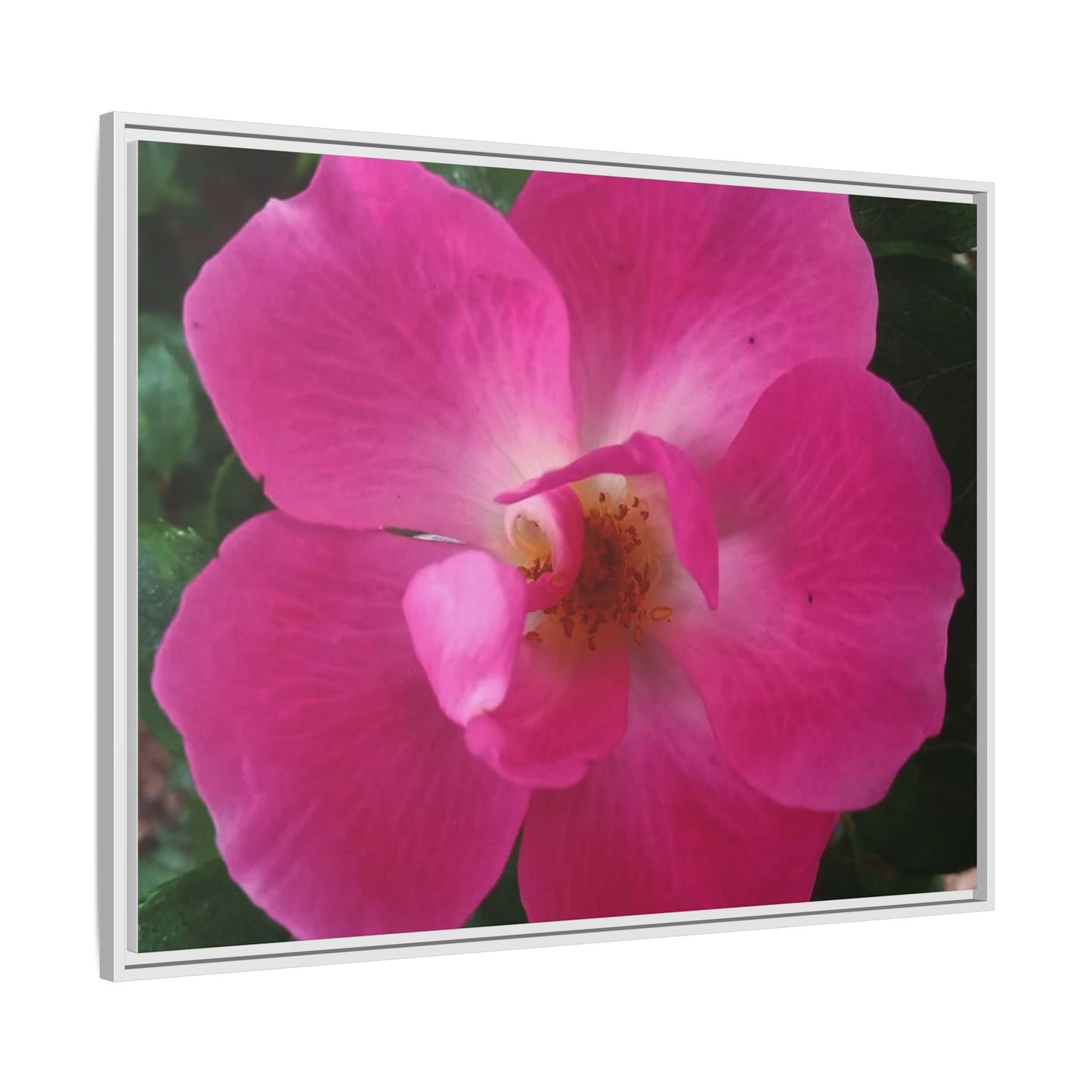 Framed Floral Canvas Art Print | Vibrant Pink Flower Decor, Wall Art for Home, Gift for Her, Mother's Day, Birthday