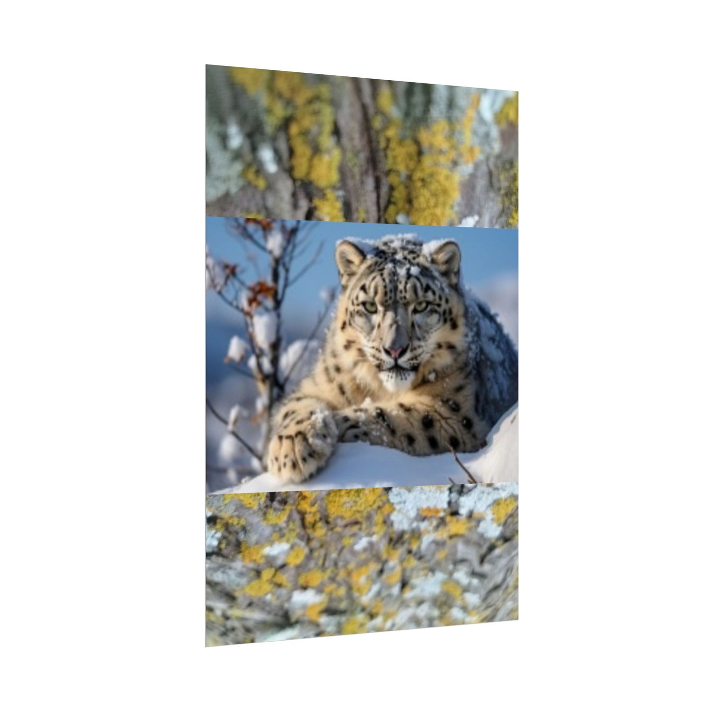 Wildlife Rolled Posters Looks Fabulous in every Room!