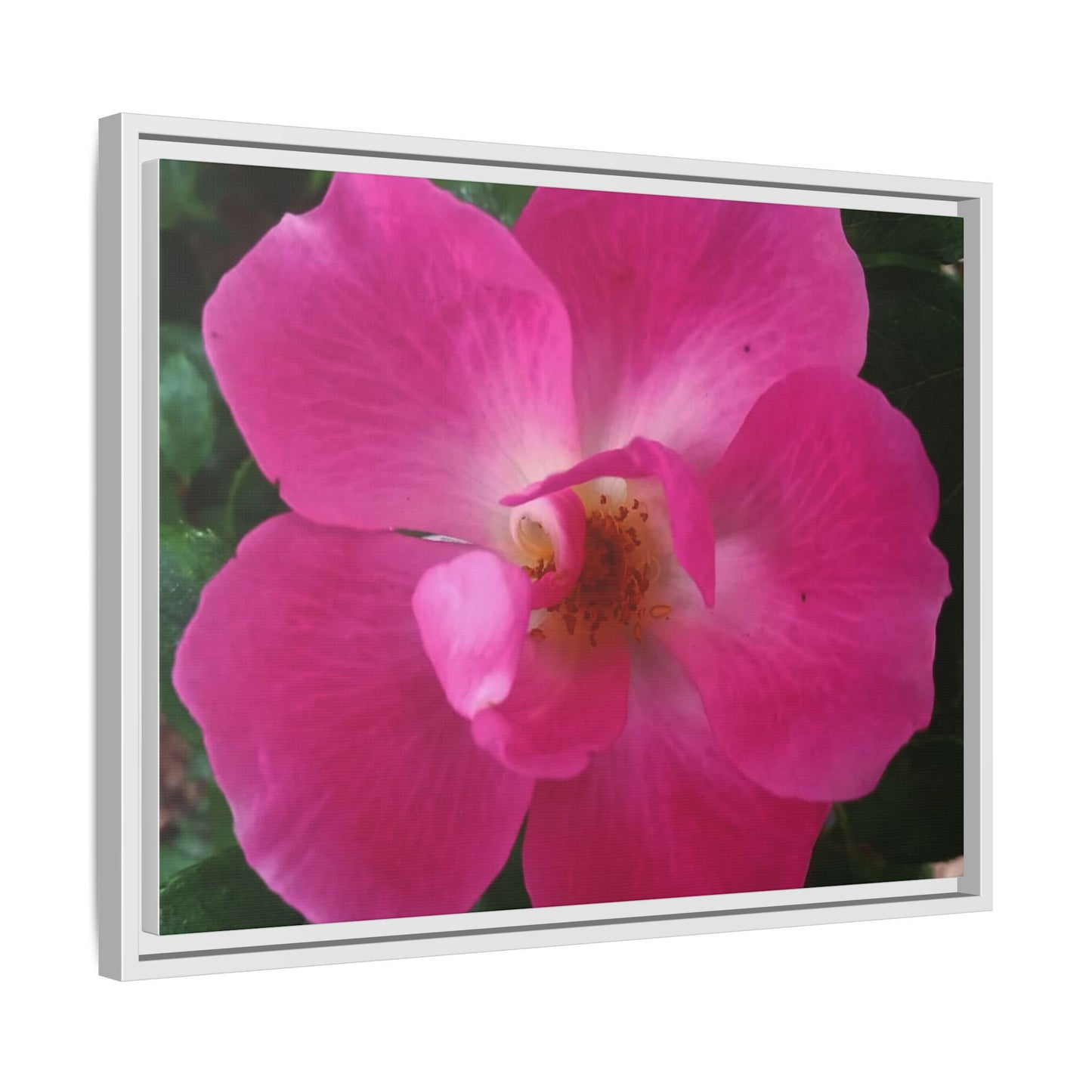 Framed Floral Canvas Art Print | Vibrant Pink Flower Decor, Wall Art for Home, Gift for Her, Mother's Day, Birthday