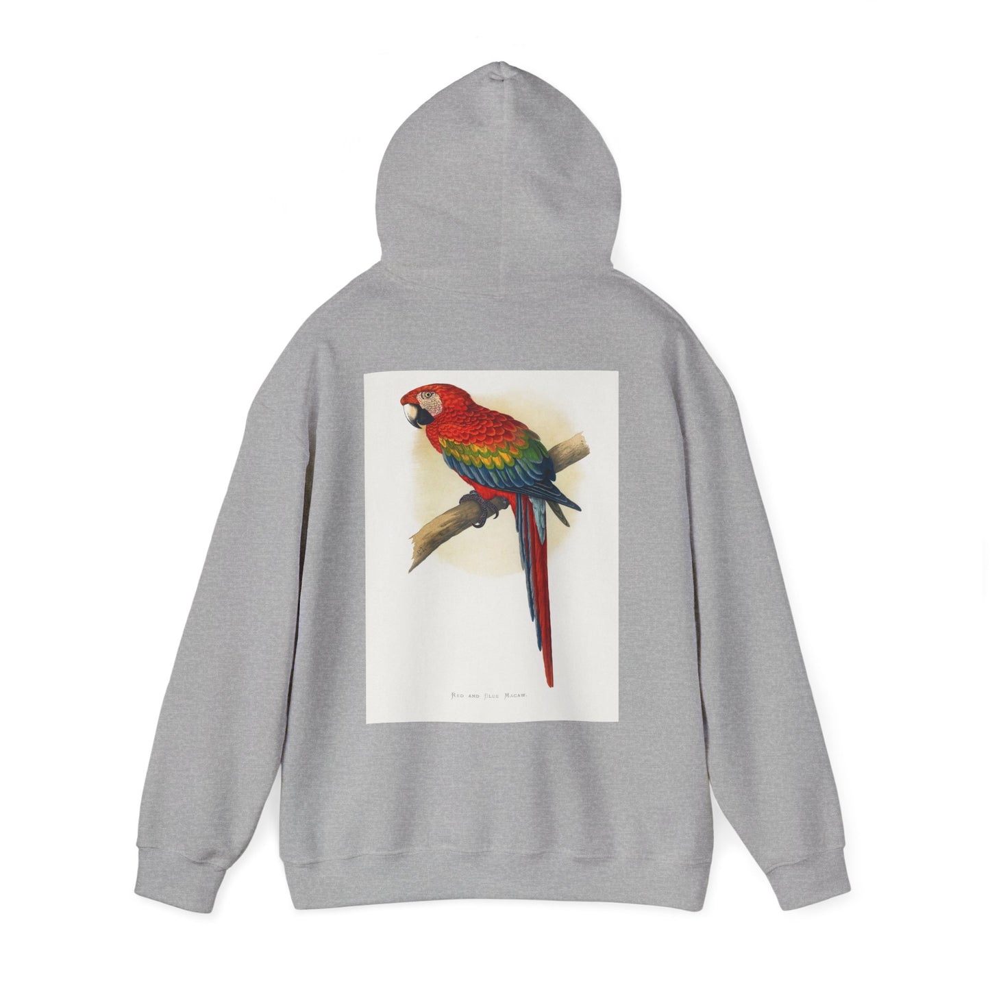 Colorful Parrot & Heart Hoodie - Unisex Heavy Blend Sweatshirt, Tropical Vibe Apparel, Perfect for Animal Lovers, Gift for Birthdays and Holidays