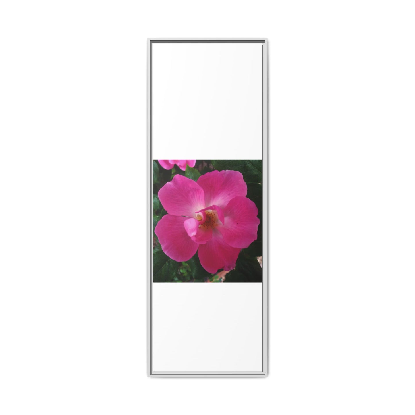 Framed Floral Canvas Art Print | Vibrant Pink Flower Decor, Wall Art for Home, Gift for Her, Mother's Day, Birthday