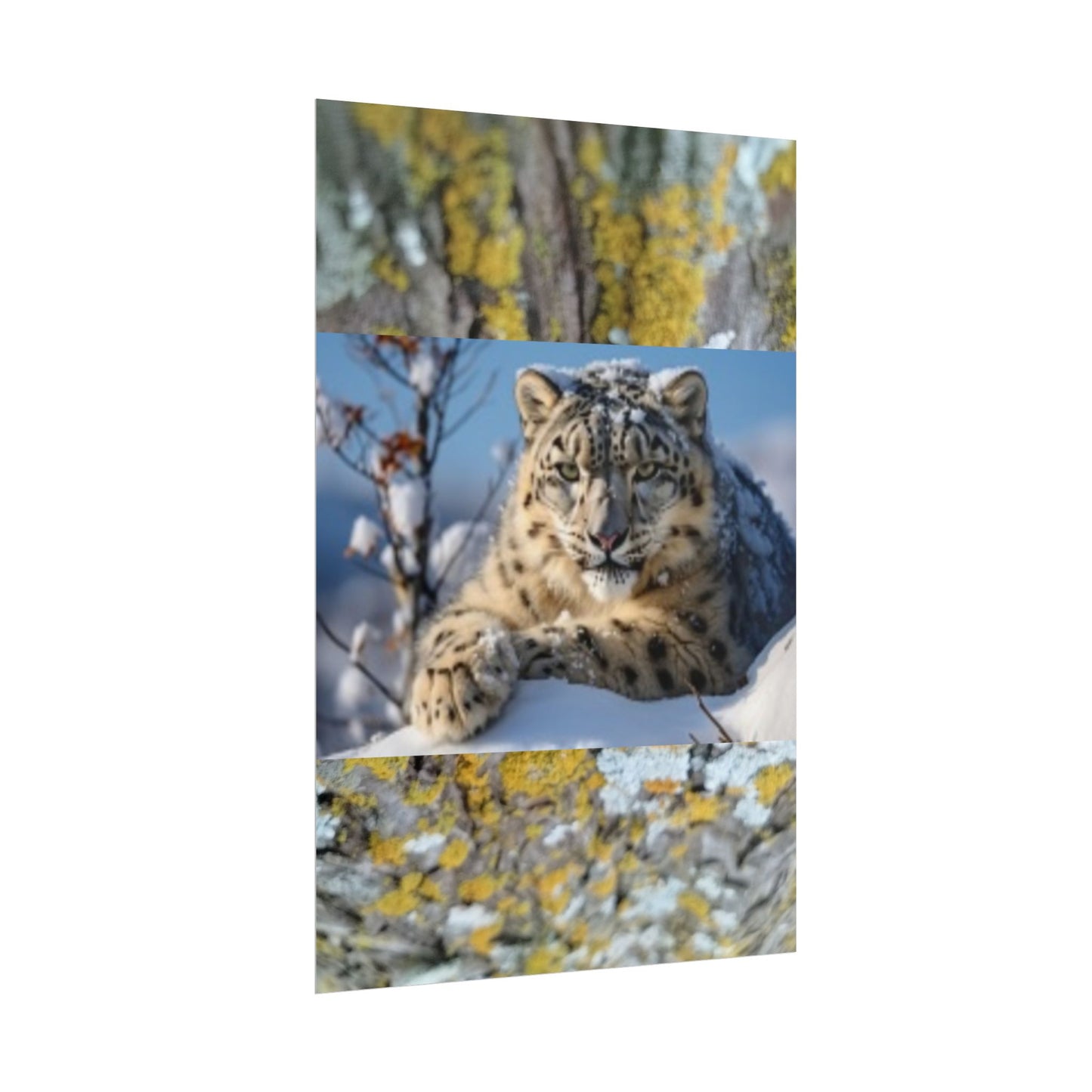 Wildlife Rolled Posters Looks Fabulous in every Room!