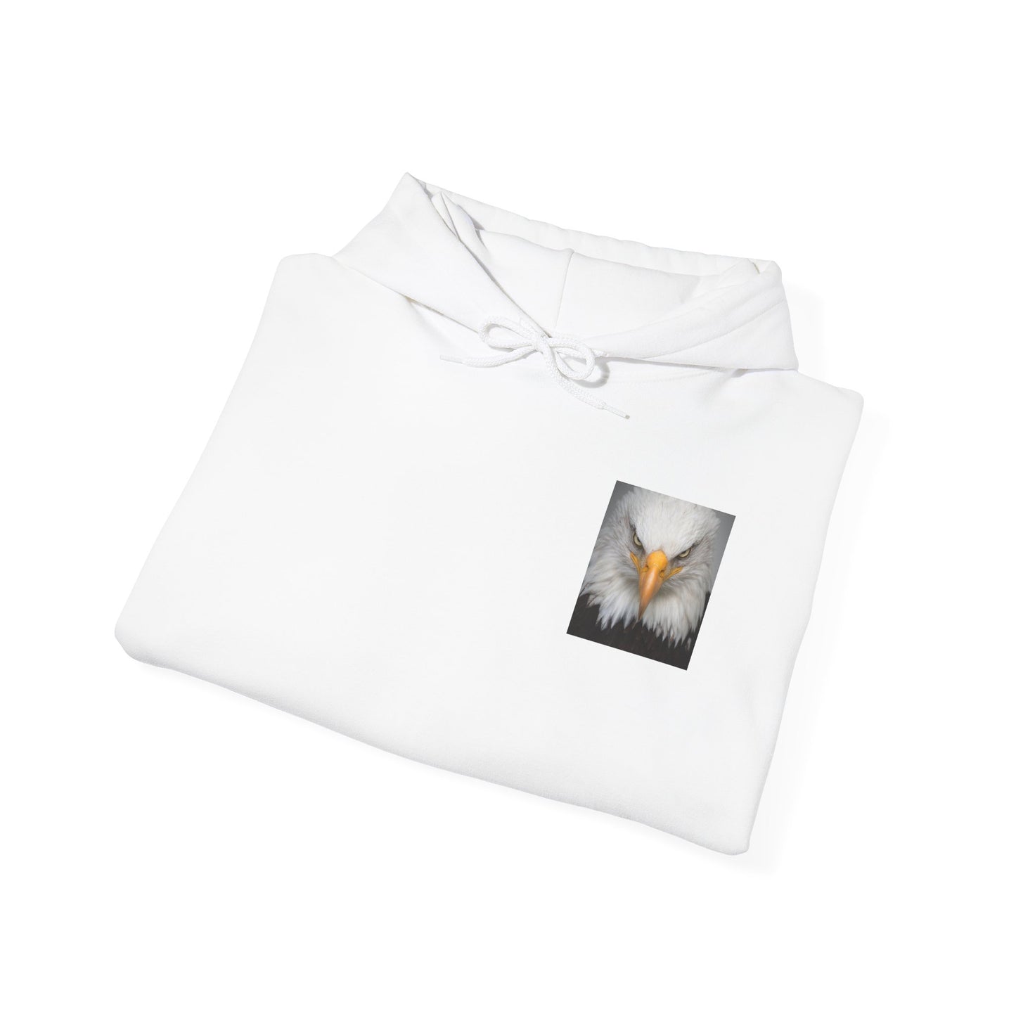 Sweat à capuche - Rendez l'Amérique fabuleuse maintenant ! 