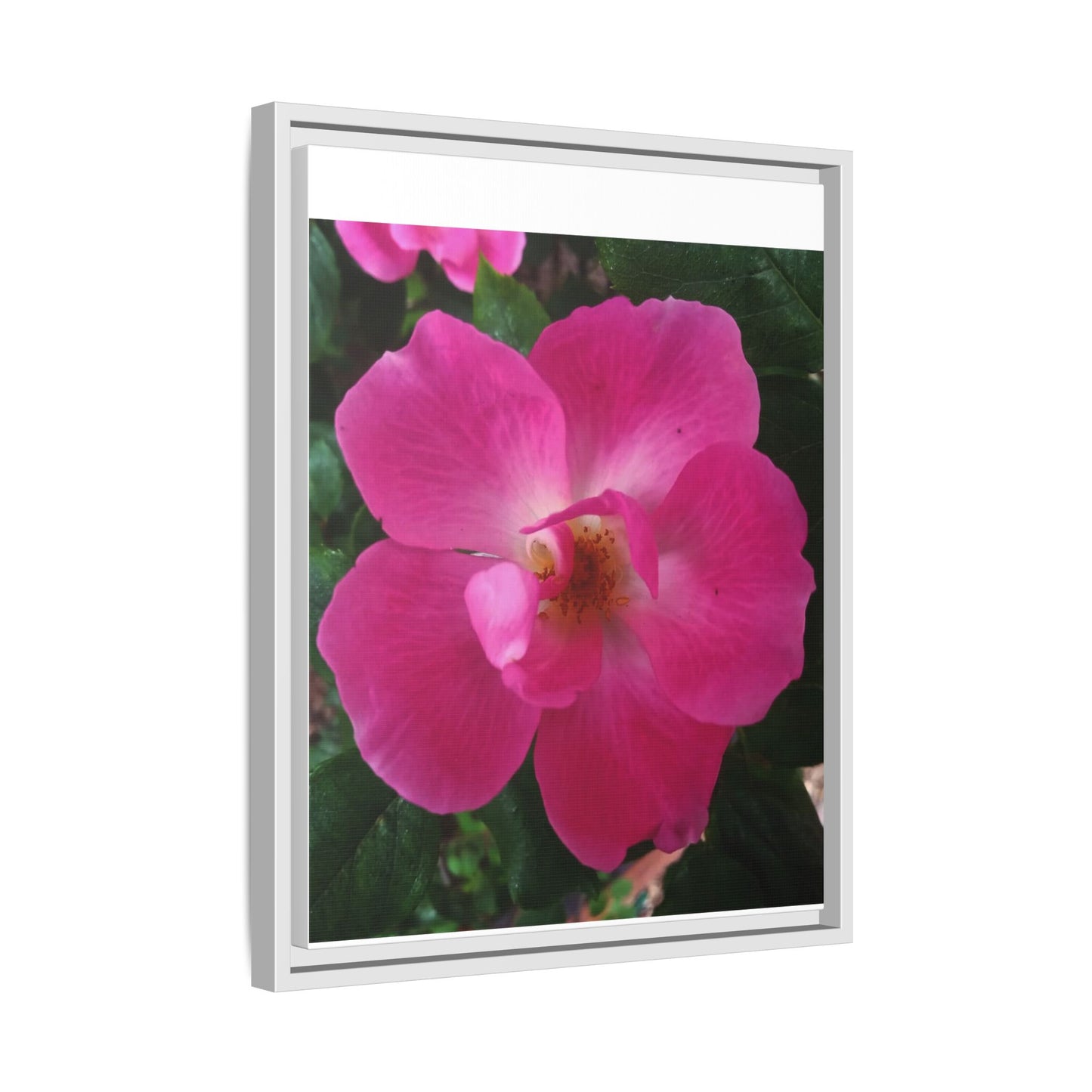 Framed Floral Canvas Art Print | Vibrant Pink Flower Decor, Wall Art for Home, Gift for Her, Mother's Day, Birthday