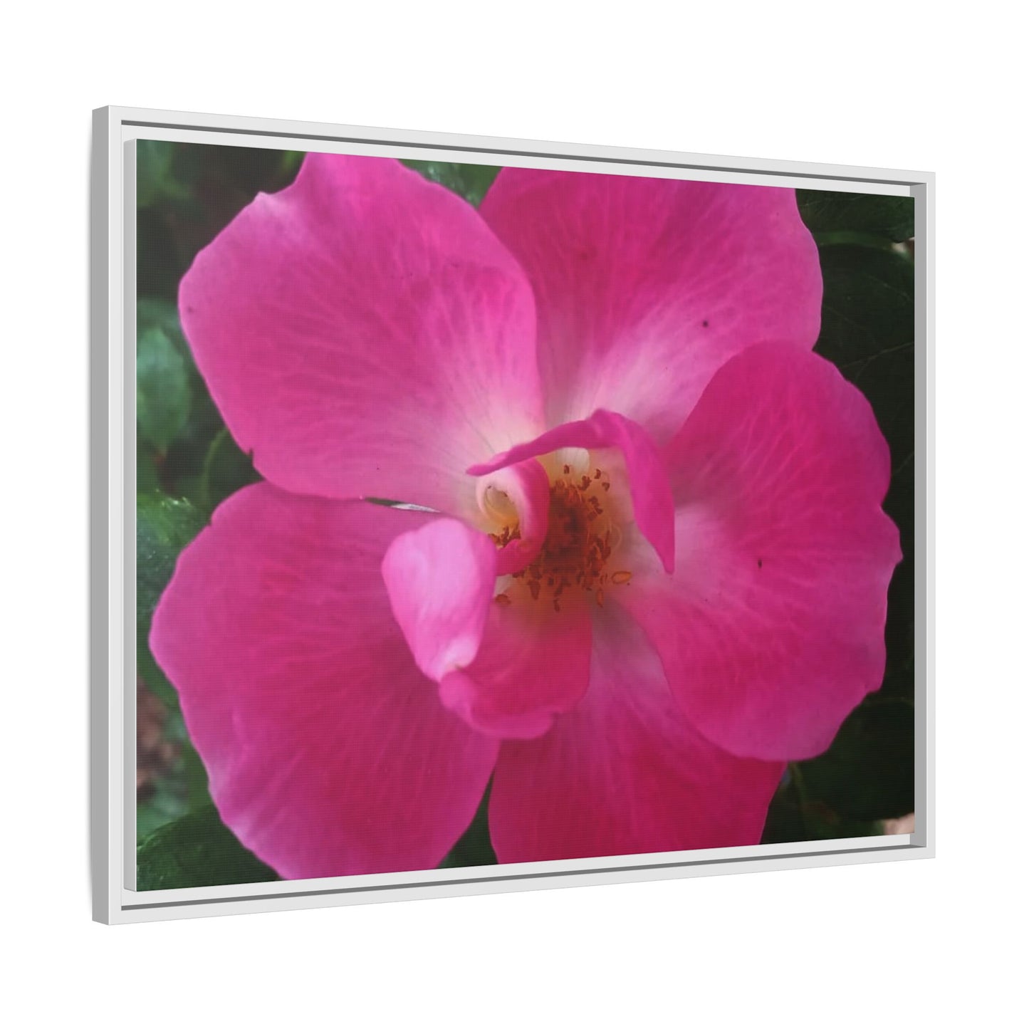 Framed Floral Canvas Art Print | Vibrant Pink Flower Decor, Wall Art for Home, Gift for Her, Mother's Day, Birthday