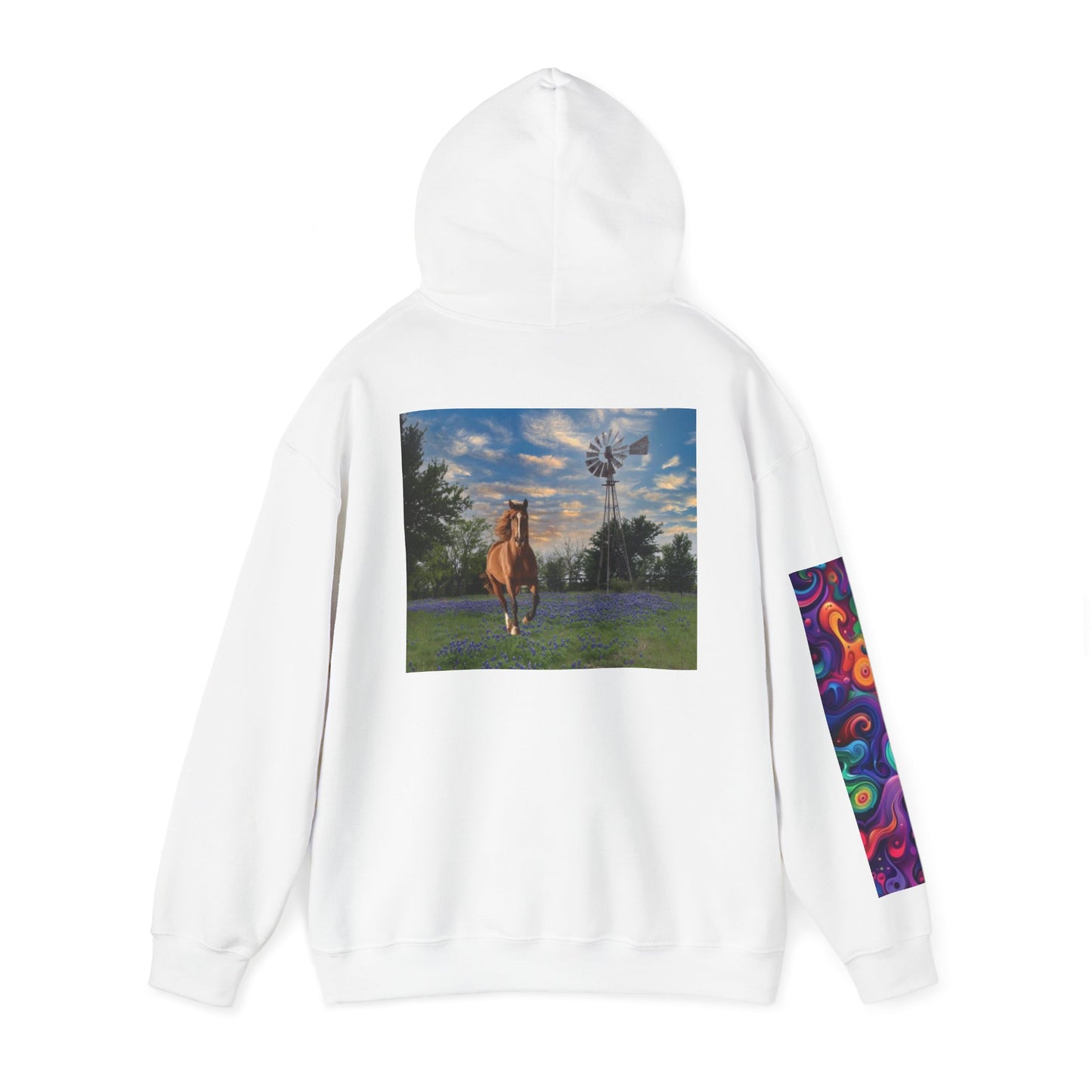 Sweat à capuche unisexe inspiré du Texas avec manches colorées 